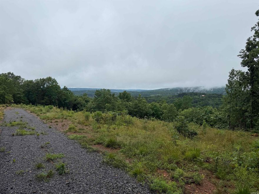 Tract 1 consists of 10 +/- acres with million-dollar views on paved, county-maintained Henderson Rd near Clinton, Arkansas. This beautiful property features a cleared homesite, and a mix of cleared and wooded areas. Enjoy Ozark mountain vistas from the deck of your dream home or mountain retreat as you watch the sun go down over the Ozark Mountains. Easy access, quiet setting, and utilities along the road. Just minutes from Clinton and a short drive to Greers Ferry Lake. Private, scenic, and ready for your vision.