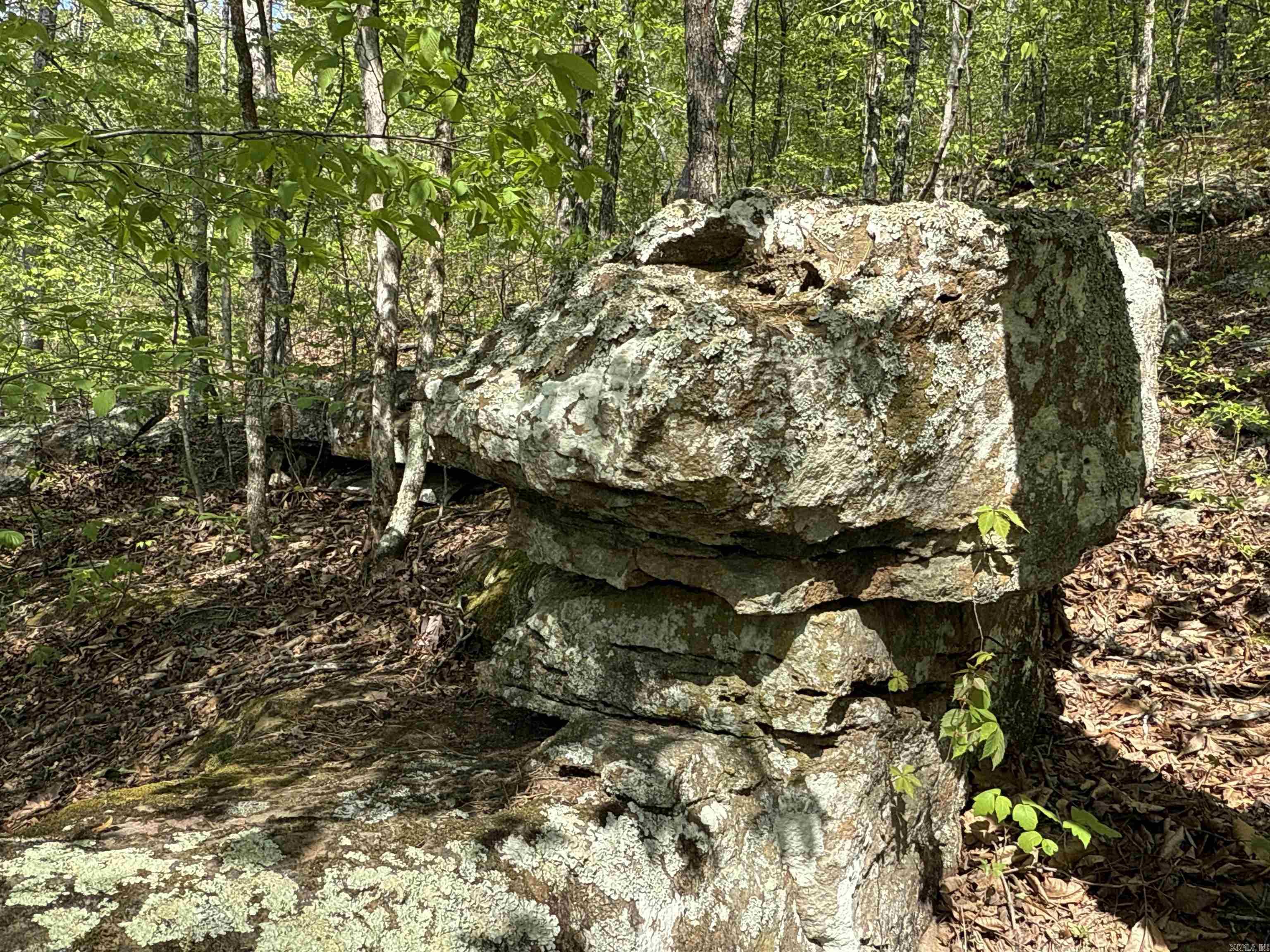 Metes & Bounds - Land