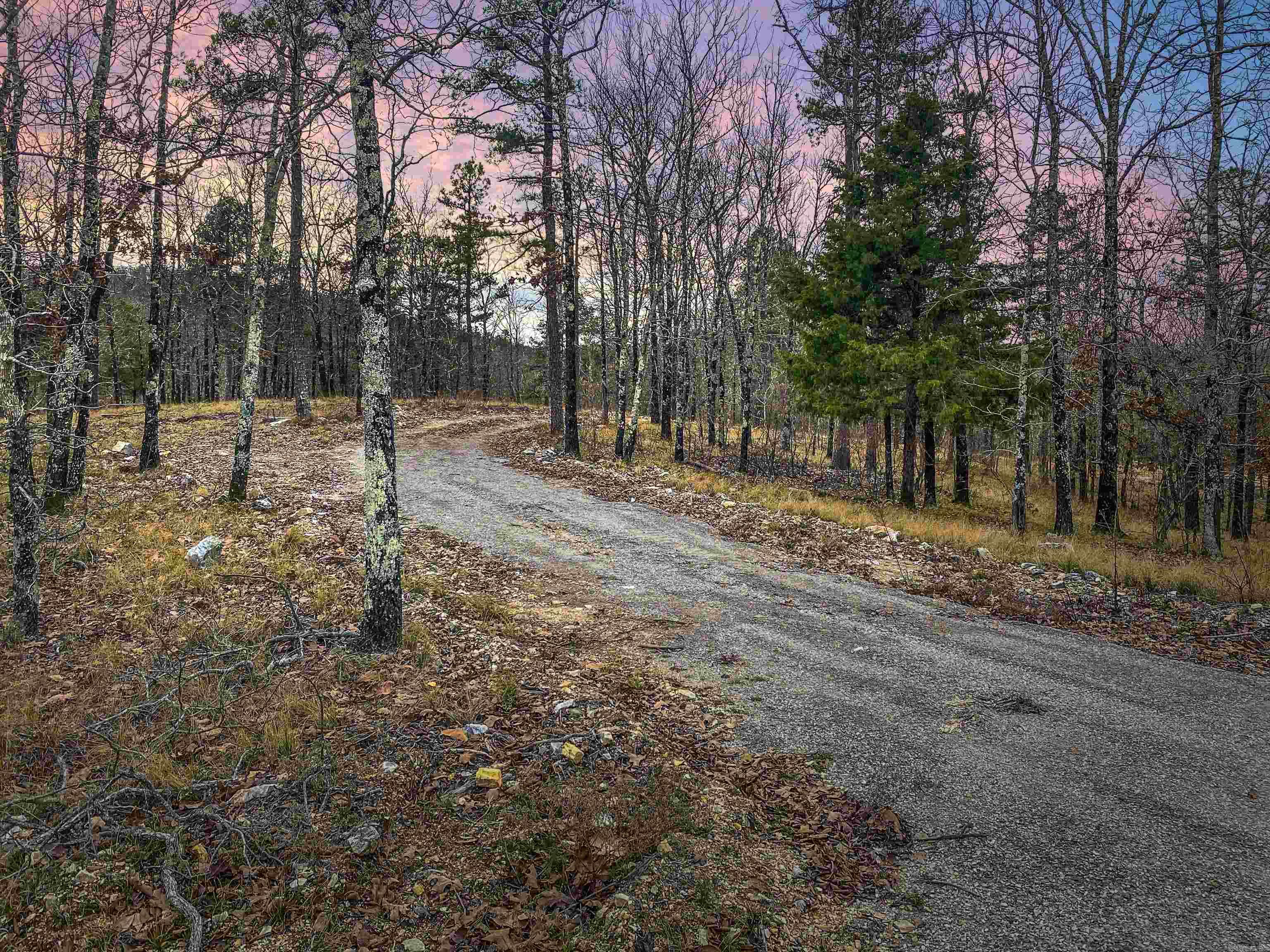 Discover 9.43 acres of natural tranquility on Shorthorn Lane, Hot Springs, AR 71901. This idyllic property boasts rolling wooded landscapes, flowing creeks, and fire pits for a serene retreat. Surrounded by a Hunting Club's acreage, it offers undisturbed wildlife and stunning mountain views. Accessible via gravel roads, it's just minutes from downtown Hot Springs and 40 minutes to Little Rock. Ideal for building a dream home with a pond in the deep valleys, this property promises endless possibilities for development (verify with the Deed Restrictions). Embrace the perfect blend of seclusion and convenience on Shorthorn Lane.