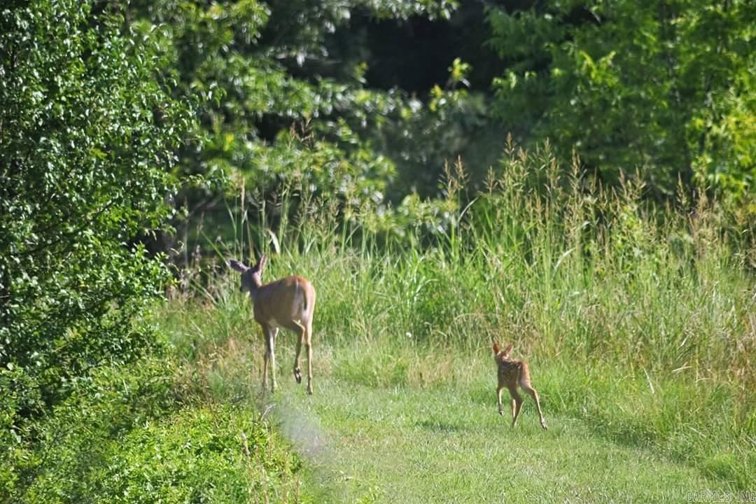 ACKLIN GAP SUB PH I - Residential