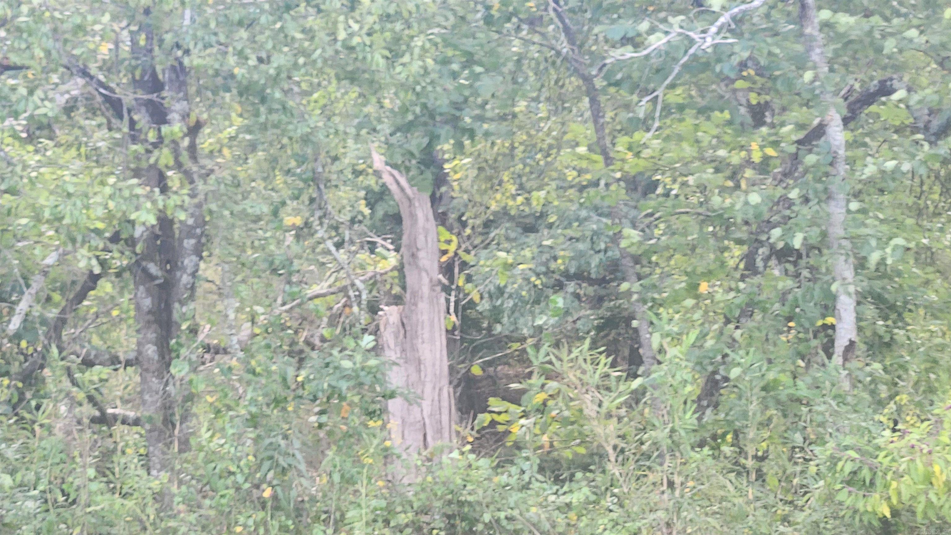 REVAS RETREAT - Land