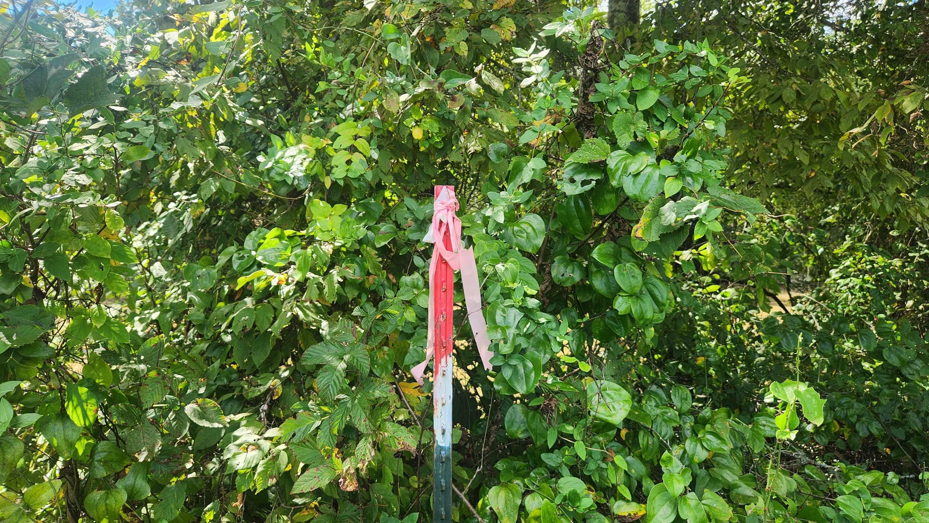 REVAS RETREAT - Land