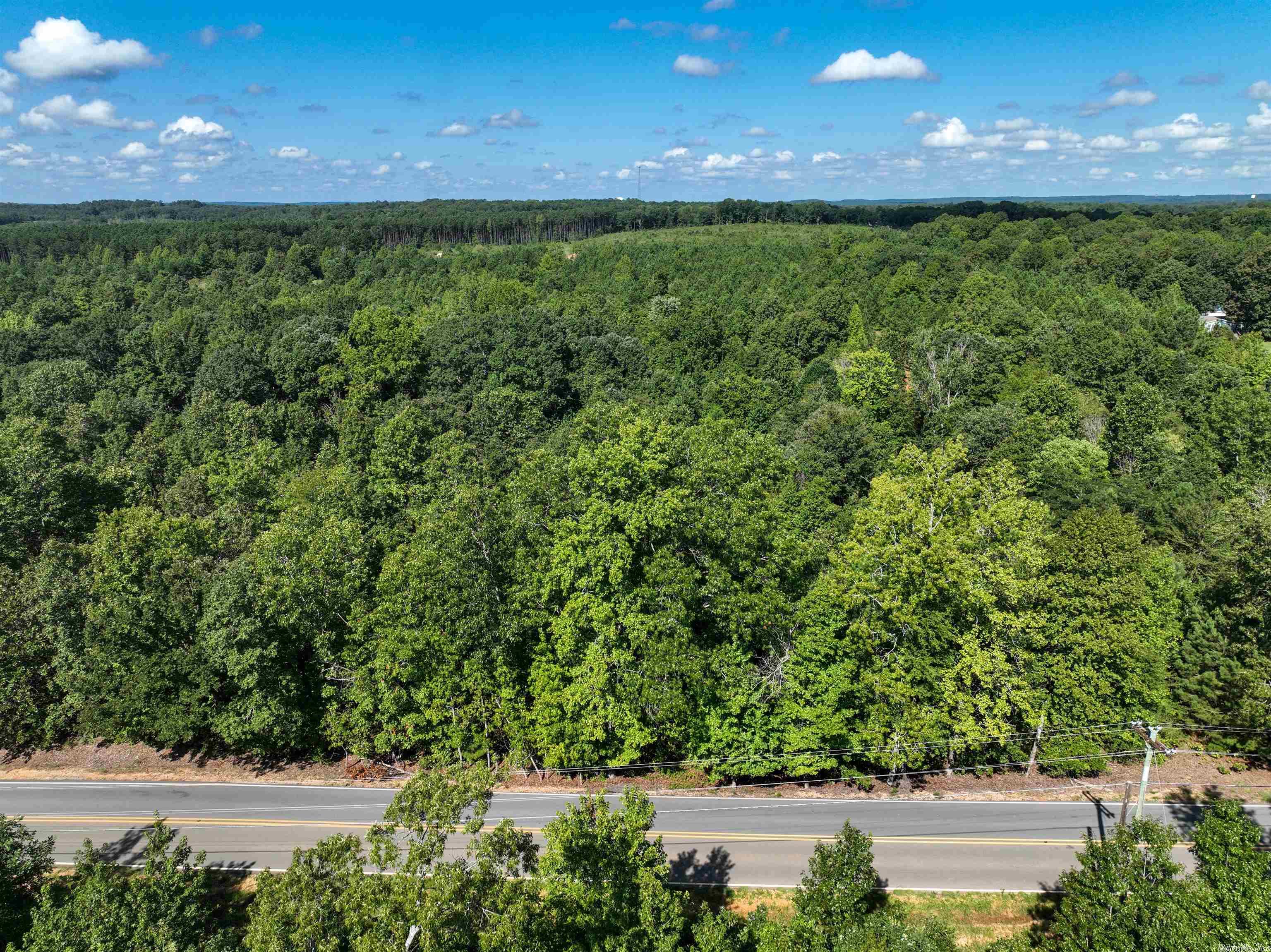 Mountain Pine - Land