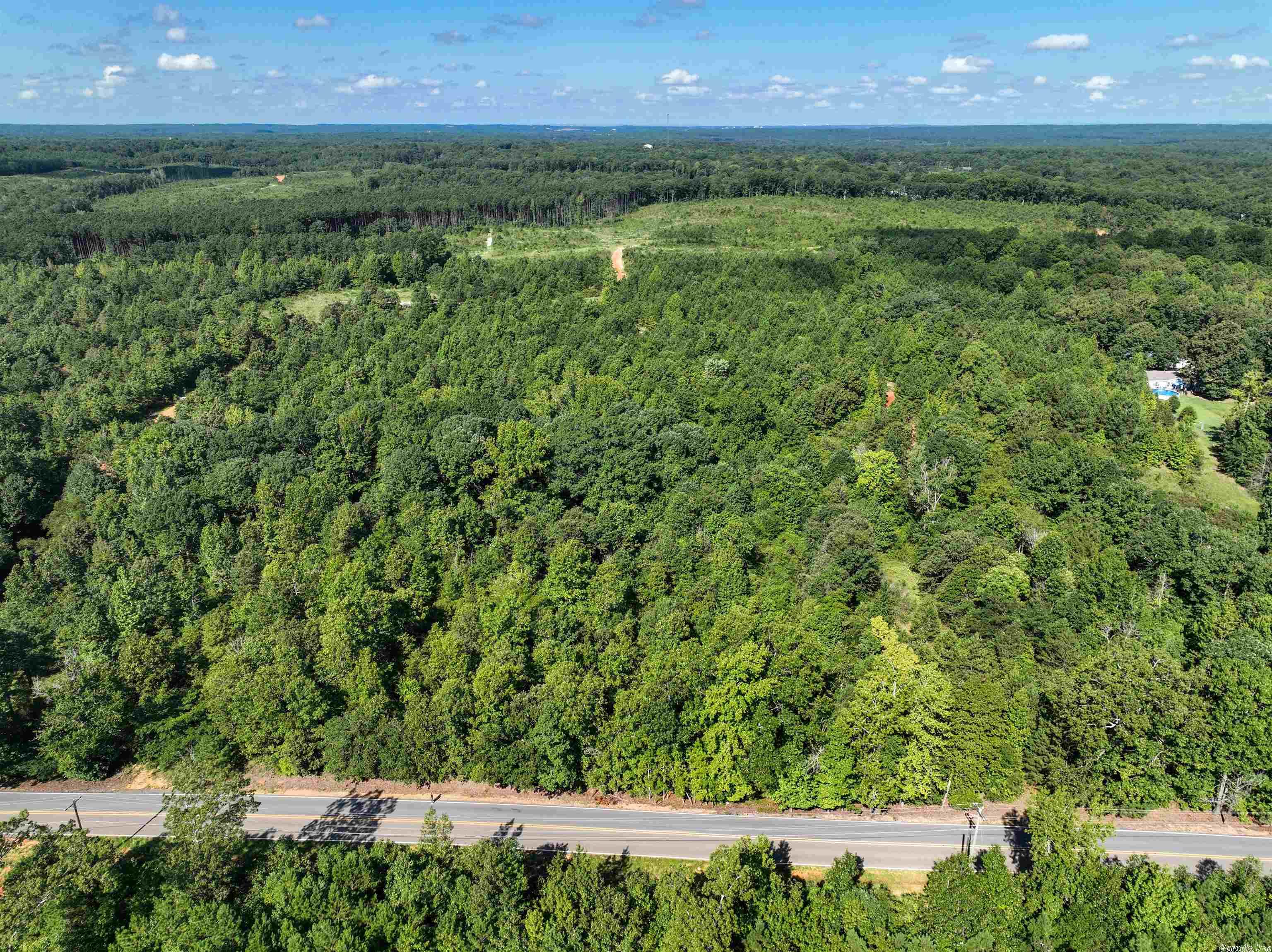 Mountain Pine - Land