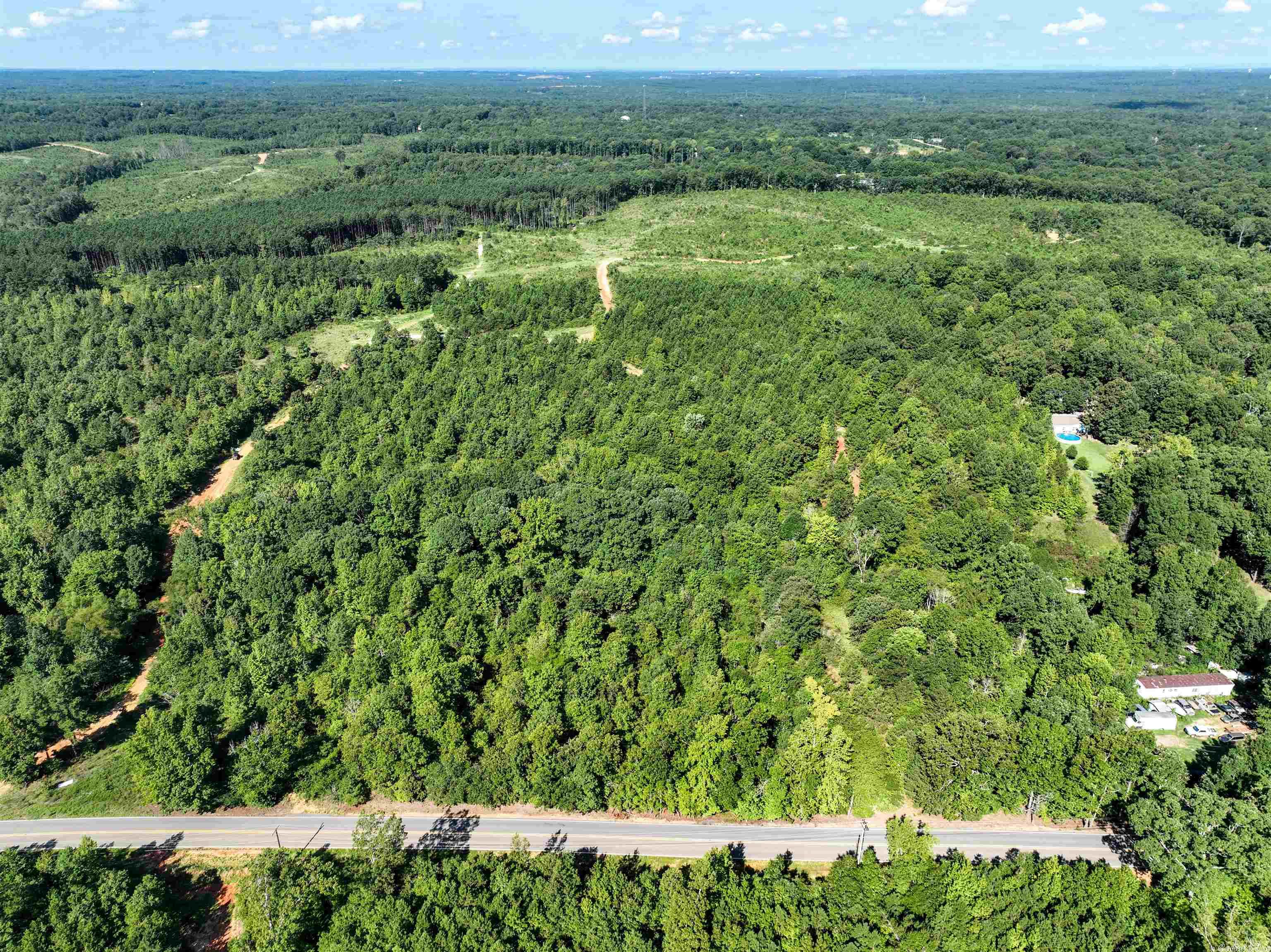 Mountain Pine - Land