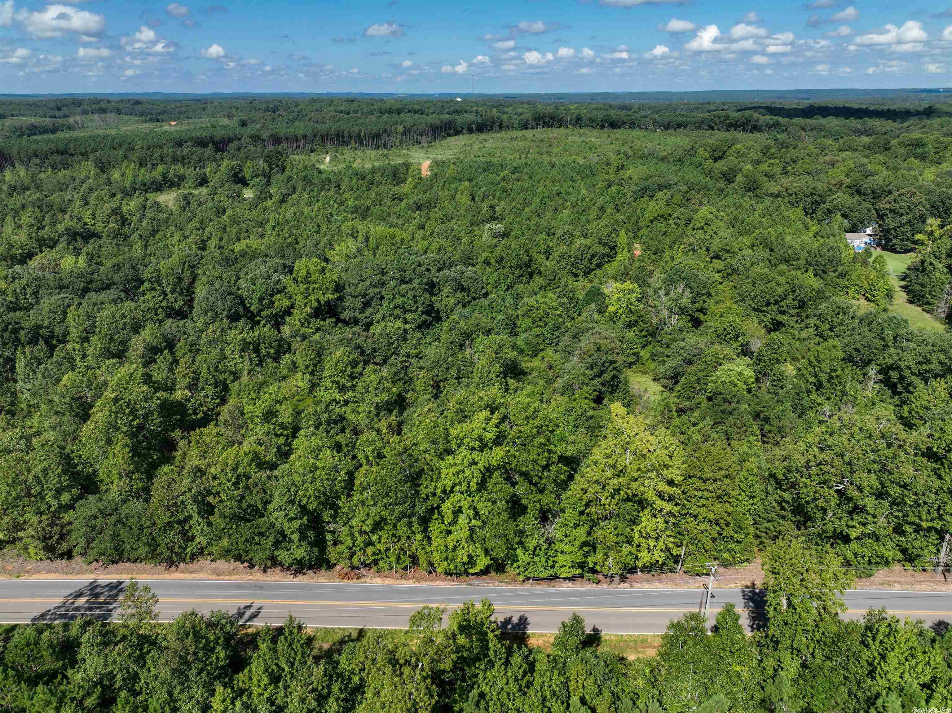 Mountain Pine - Land