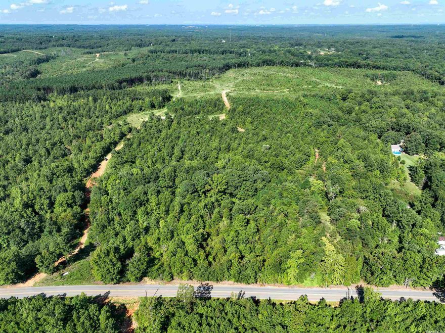 Wood terrain community and interior development is ongoing and expected completion is late fall. 20 years old or new mobiles accepted. Power and rural water along the road with Fiber Optic Internet. Trinity Baptist Church is across the road and 16 miles to Little Rock. Approximate frontage 133 sq ft. Make it yours!