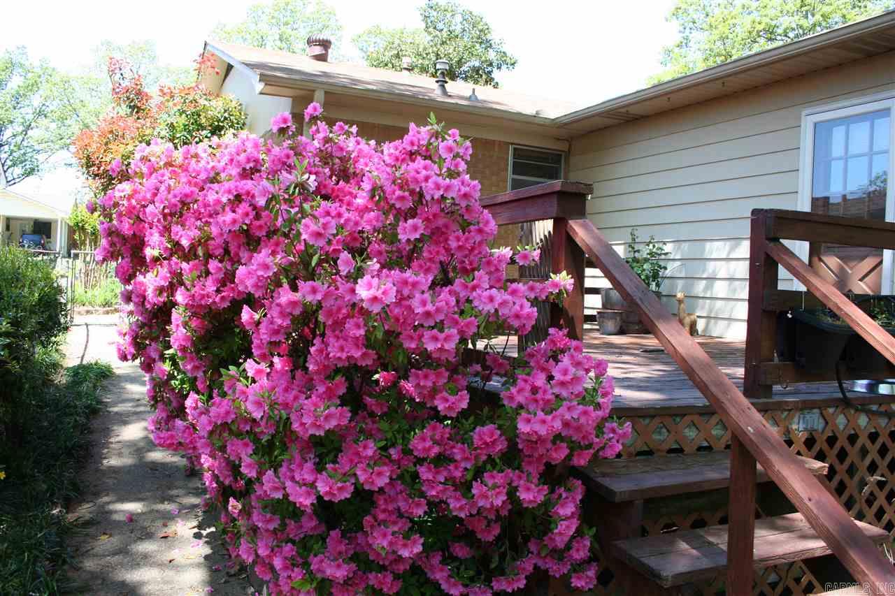 Holiday Park - Residential Lease