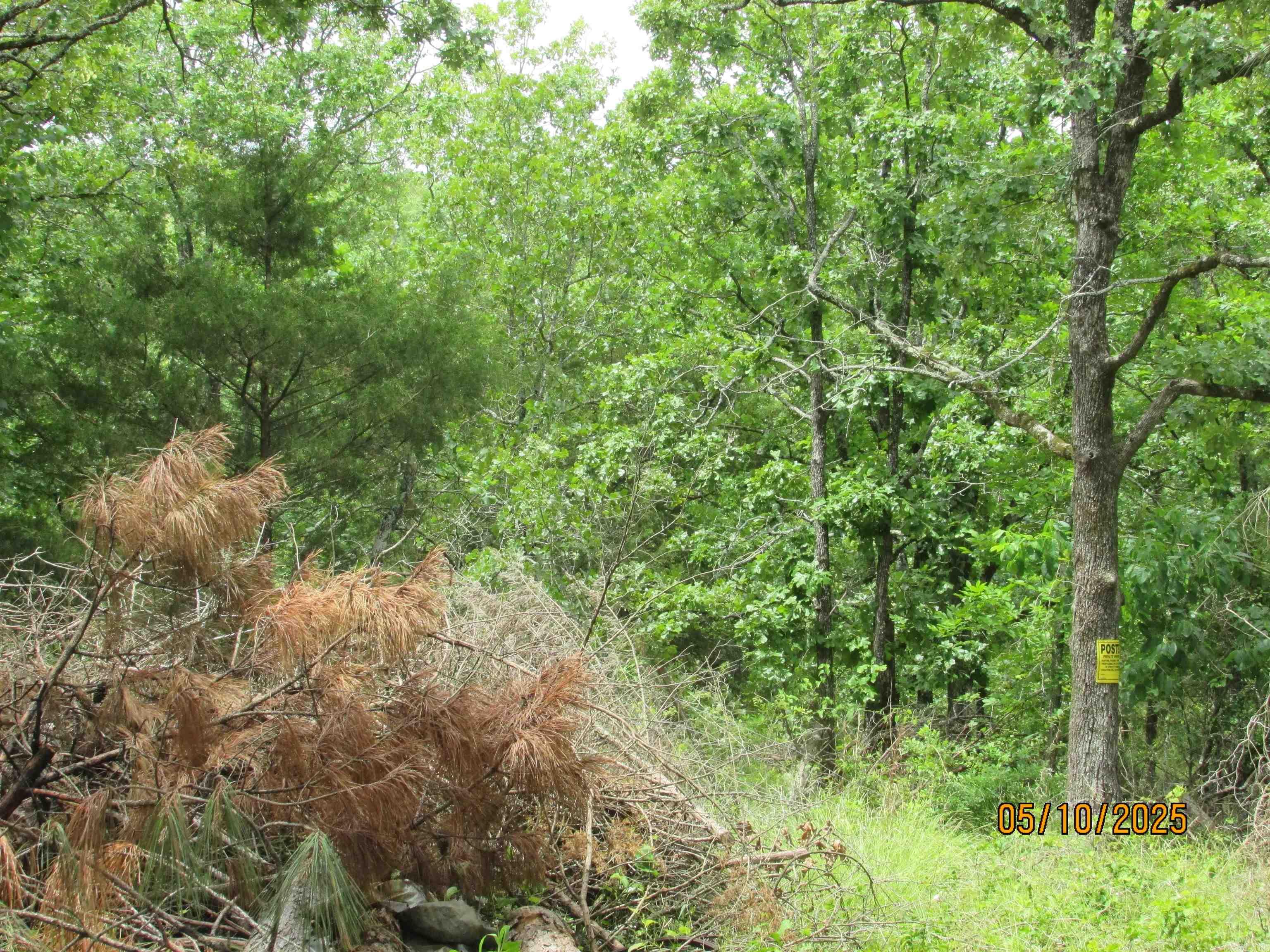 Wooded hunting retreat on 39 acres. Large deer have been spotted. The 50 ft easement is off of Larkspur and the property goes up the hill to Pride Ridge. Located out of the city but convenient to shopping and restaurants. Utilities near by to hook on to and it will need a survey. There is an existing survey available.