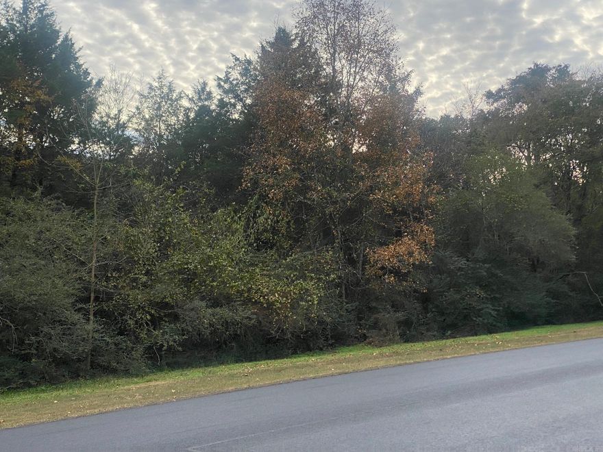 Great location on east side of town!  This 1/2 acre lot is what you need to set up your business! Check it out!!! Close to the Little Red River and Greers Ferry Lake.