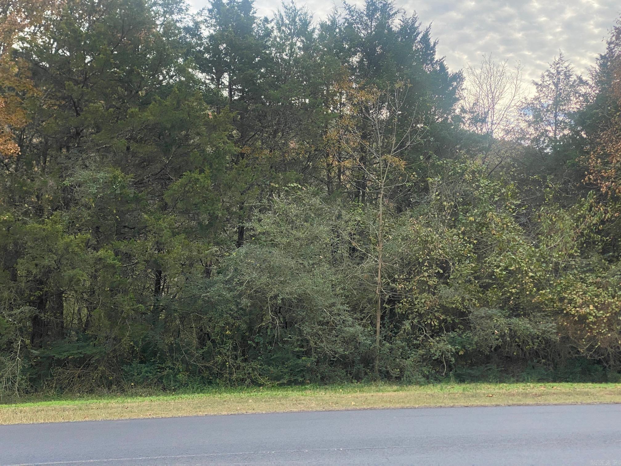 13-10-10 Heber Springs - Land