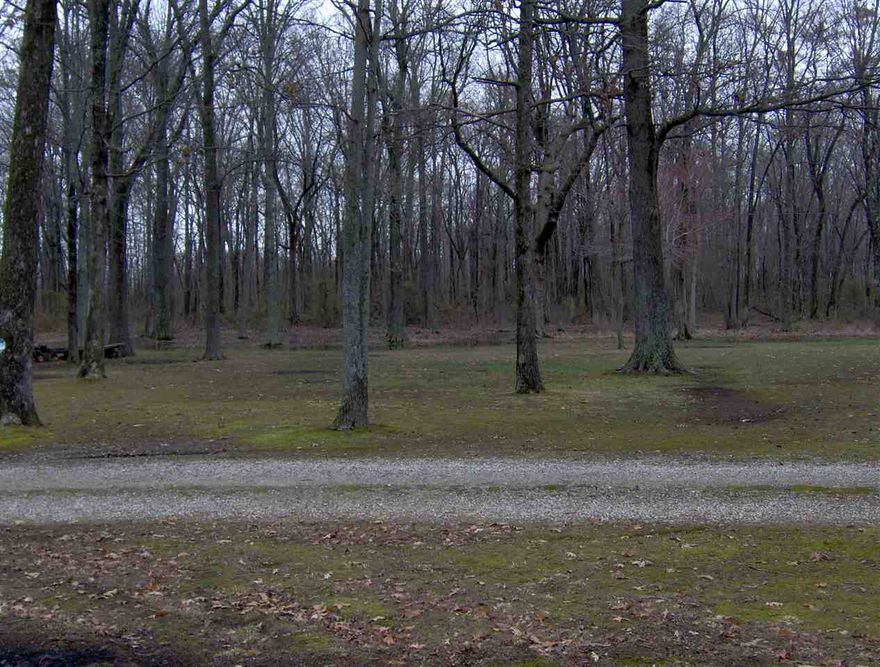 Very nice Four Bedroom, Two Bath Home setting on two acres in Valley View School District. Home has been totally remodeled. Very Large Family room features scraped wood flooring, amazing wood burning fireplace with Insert, all up to date paints through out home. Kitchen has gas cook stove with new counter tops, and Refrigerator stays with the home. Home has screened in back porch, storm shelter, another storage building, and very nice Garden spot. New Roof this year, Central Heat and Air replaced in 2009.