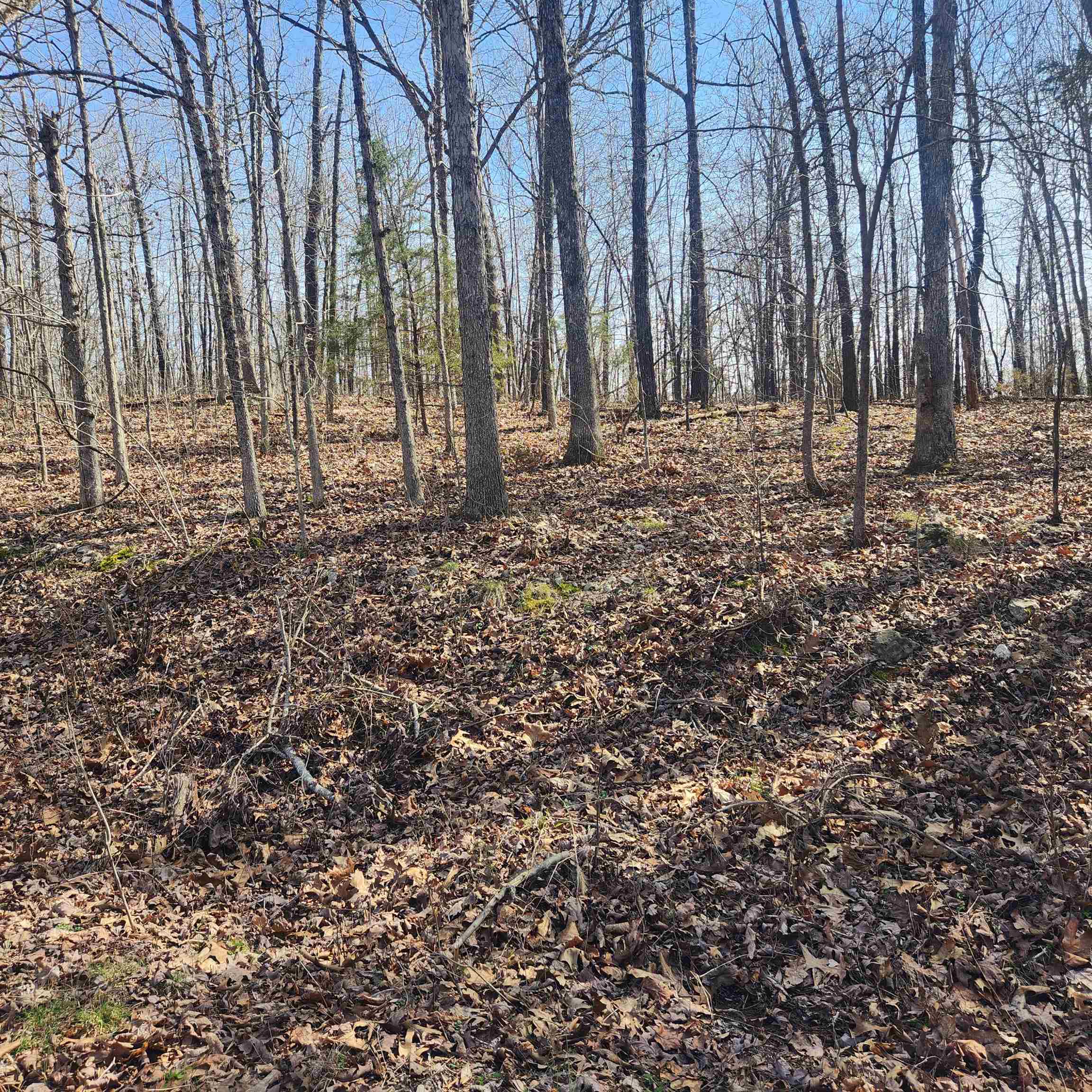 Chickasaw First - Land