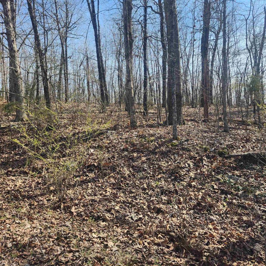 Secluded lot, but still right in the heart of the Village. only one neighbor's house on this road. Wooded lot with lots of trees. It is just a short distance from the town center and water fall from lake Cherokee into Papoose Park. Less than a mile. just over a mile to Lake Thunderbird and the recreational center. Cherokee Village has 7 lakes, 2 golf courses, 2 rec centers and the wonderful Southfork River for your enjoyment.