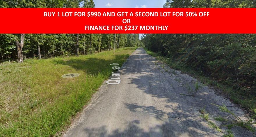 Buy one lot and get 50% off an additional lot! Part of a set of adjoining lots available. Owner-finance for easy terms. Cash buyers can pay by debit or credit card as well. Nice lot to develop or hold for future value. Public water and electric are available to run to property and will need septic. Owner/agent. No mobiles allowed. 300-2500 minimum build size on any other type of home, depending on subdivision. Finance is 5 months at $237 and closing costs are included. Buyer responsible for any back, current and future taxes owed on this property. Lots marked with red banner are part of promotion. No limit on lots. Buyer responsible for any/all taxes and lots sold "as-is". Quit claim deed conveys. Parcel ID# 230-14734-000