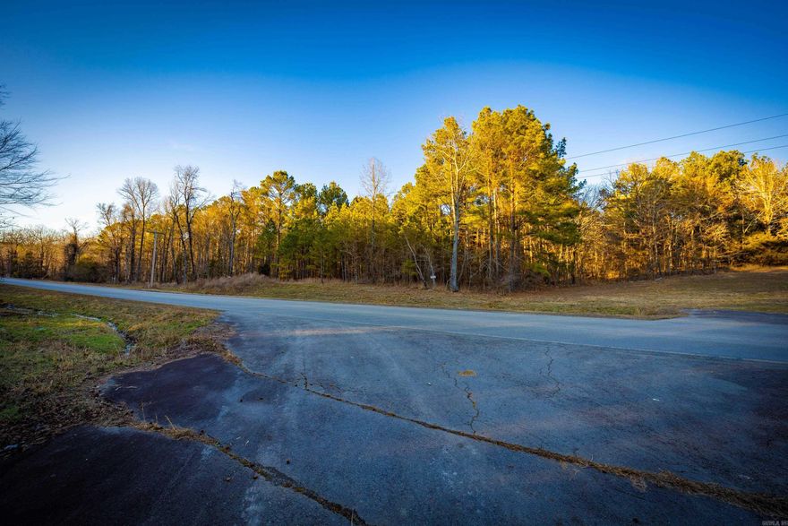 Beautiful raw land with no restrictions! Public water is on the road.  The lot is level then slopes up to a ridge so there are multiple possible build sites for you or other family members, or if you are developer.  There's lots of possibilities.  Come see it today!