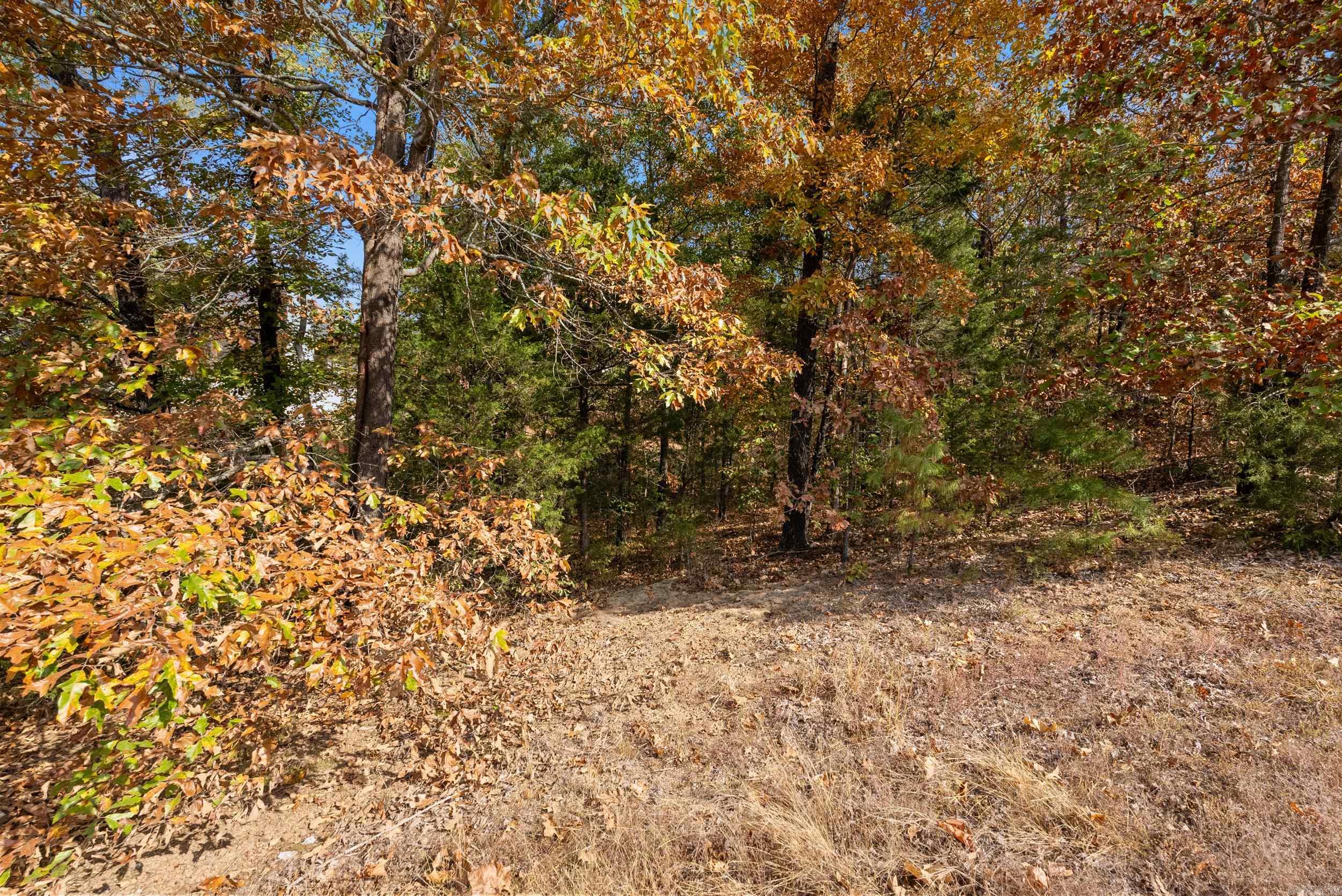 Spencer Mountain - Land