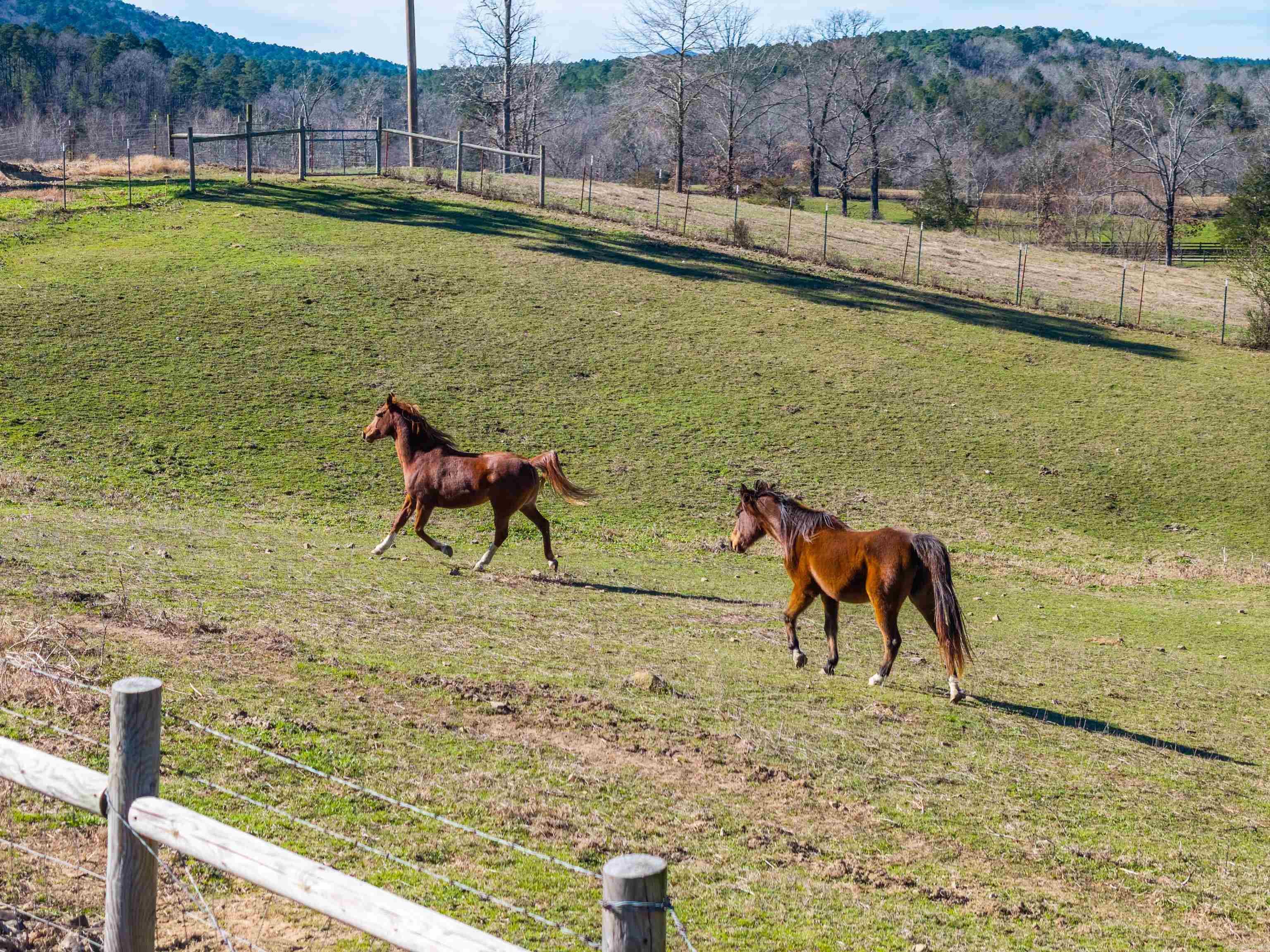 Metes & Bounds - Residential