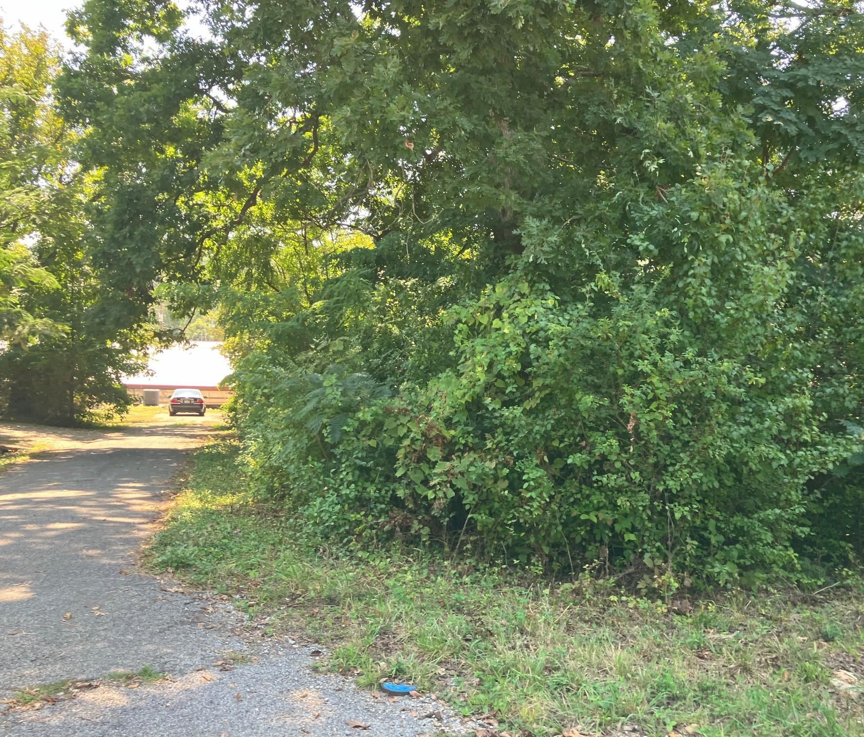 Subdivision Lot in the town of Hardy, Arkansas. A small house could be built on this property. Great location-close to stores and the Spring River. Plenty of amenities in the historic town of Hardy!