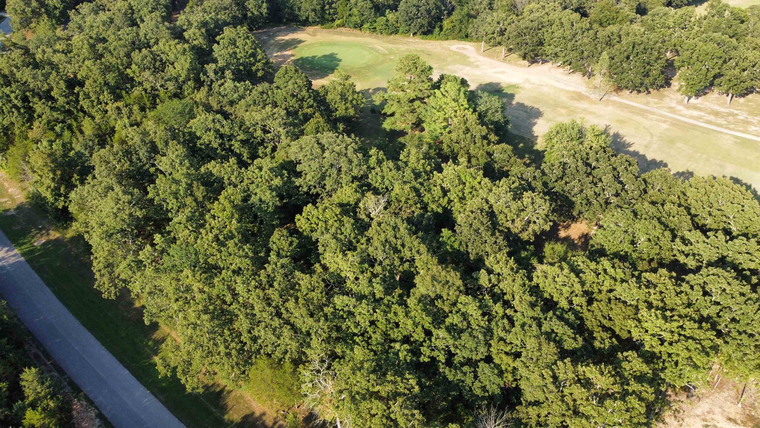 Golf Course Living at its Finest - 325 Green Valley Drive, Horseshoe Bend, AR. Imagine waking up to sunlit fairways and the gentle rustle of pine trees--this golf course lot on Turkey Mountain Golf Course is the perfect canvas for your dream home. Nestled along the greens, this scenic parcel offers direct access to well-manicured fairways, with a peaceful backdrop of rolling terrain, Whether you're a weekend golfer or just love the quiet charm of golf course views, the location combines recreation and serenity in one elegant package. KEY FEATURES: 1- Located on the prestigious Turkey Mountain Golf Course 2- Ideal for custom home build with golf course frontage 3- Peaceful surroundings and natural beauty 4- Close to community amenities and lakes Build the life you've imagined - on the green, in style.