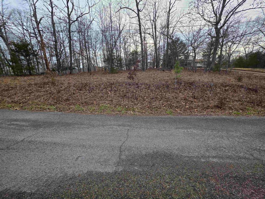 Wonderful and wooded lot in the heart of Cherokee Village. Really nice high level lot. Secluded and away from it all. But close to a main road for quick exits from the Village for shopping, dining and entertainment. Buy this lot and pick your spot to build your dream home or just a getaway cabin. With ownership of this lot you will have access to all the amenities of Cherokee Village such as the 7 lakes and Two 18-hole golf courses also the Thunderbird Center and swimming pool, mini golf, parks, hiking trails and don't forget about the beautiful Southfork River for fishing, kayaking or just floating down to wet your toes. This is a wonderful lot to purchase and plan for your future home. Call to purchase this one