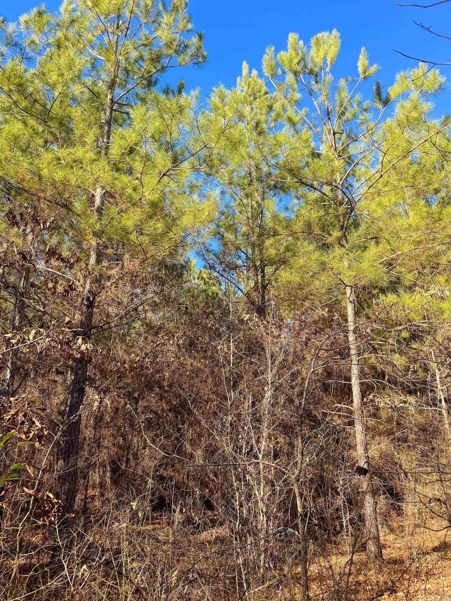 Not in Subdivision - Land