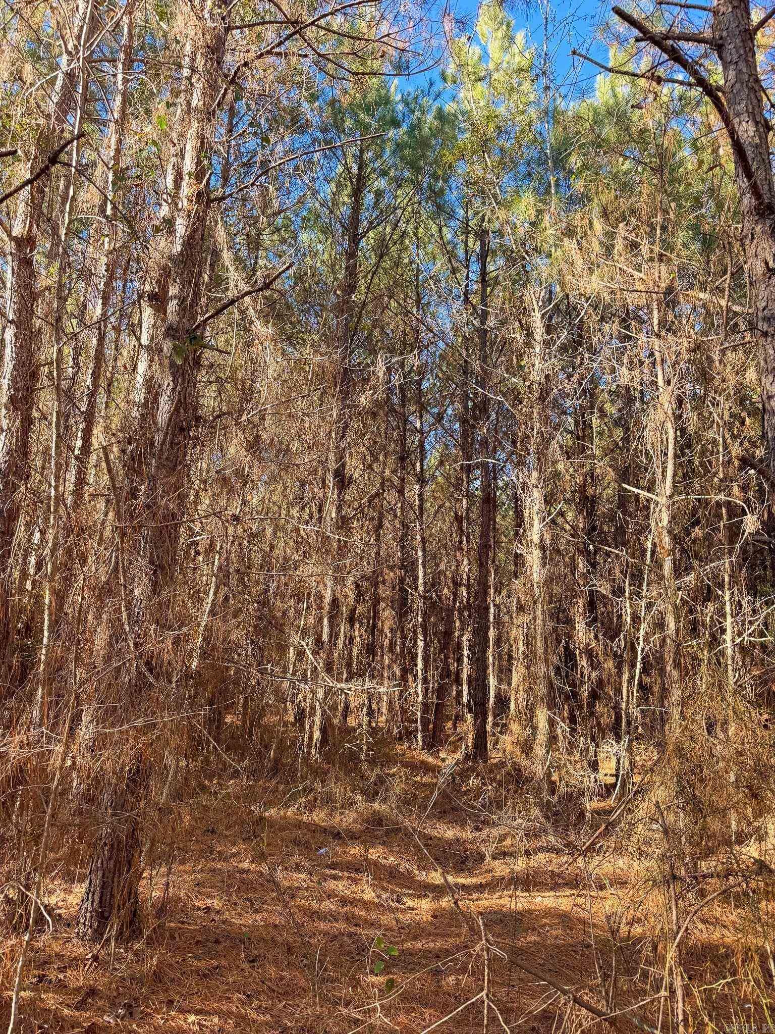 Not in Subdivision - Land