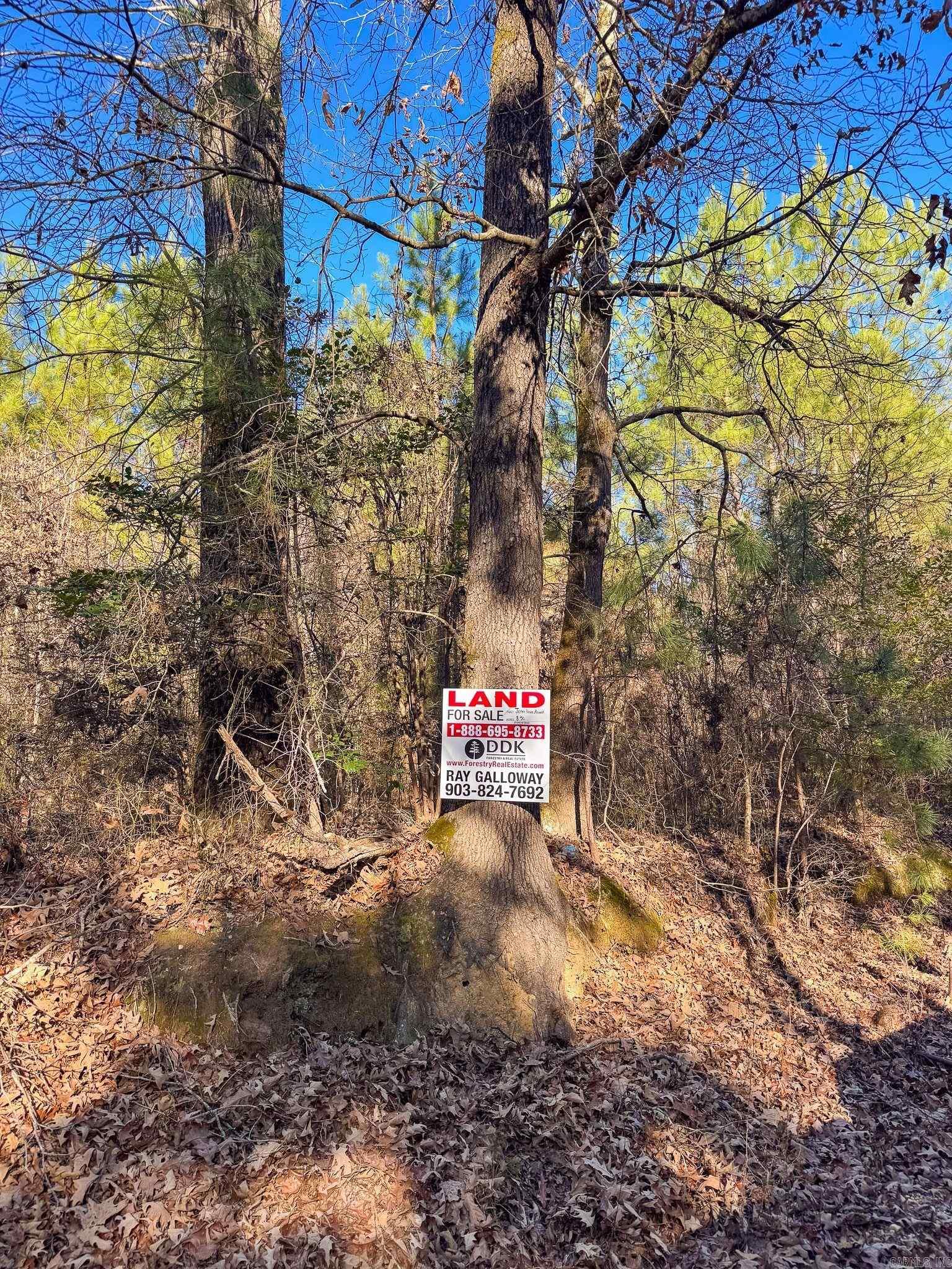 Not in Subdivision - Land