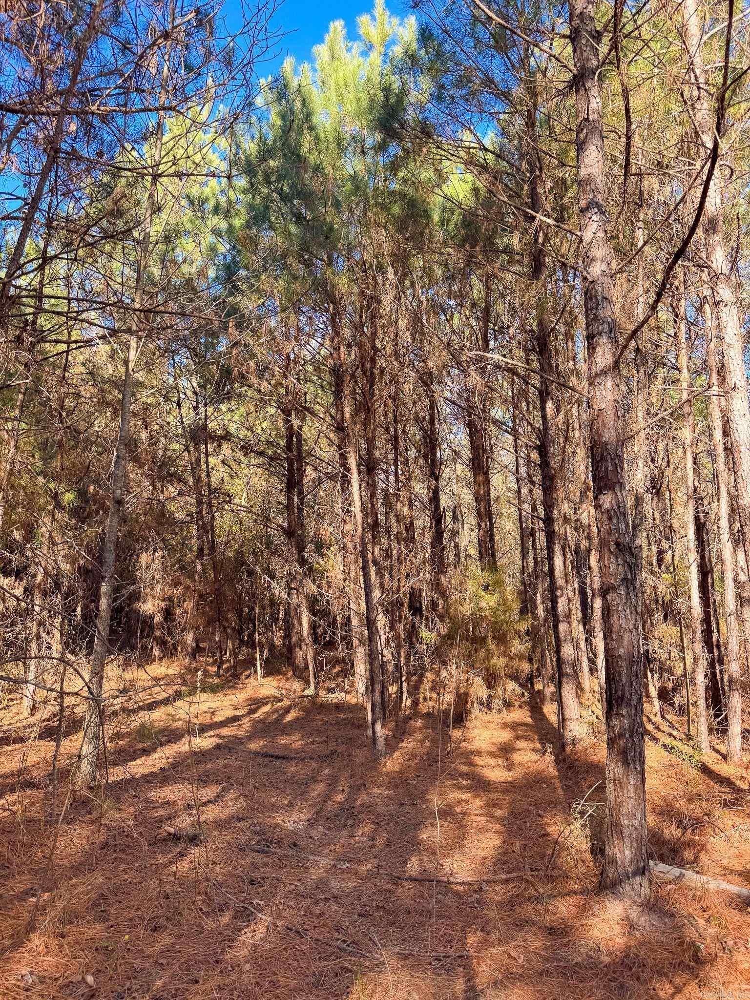 Not in Subdivision - Land