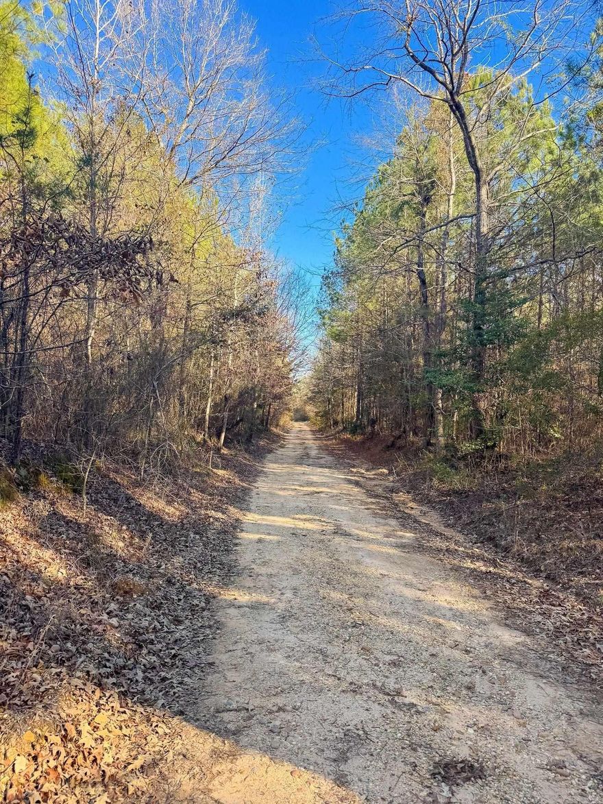 Located just 30 minutes from El Dorado, this 7.5 +/- acre tract in Union County offers a great opportunity for buyers seeking a little acreage with good access in South Arkansas. Situated along Norsworthy Road near Strong, AR, the property is well-positioned for a variety of uses, whether you’re looking to build a home outside of town or secure a small hunting or recreational tract while still staying close to modern conveniences. Electricity is available at the property, adding to its suitability for a future homesite or cabin. This tract offers the flexibility and simplicity many buyers are looking for in a smaller acreage property and is an accessible option for those wanting to own land in a well-established area of Union County.  Seller to retain minerals rights.  As this property is managed in a fiduciary capacity, prior to presenting an Offer, associates of Arvest Bank and its affiliates (and their immediate family) should contact Arvest Bank Trust Compliance for guidance.