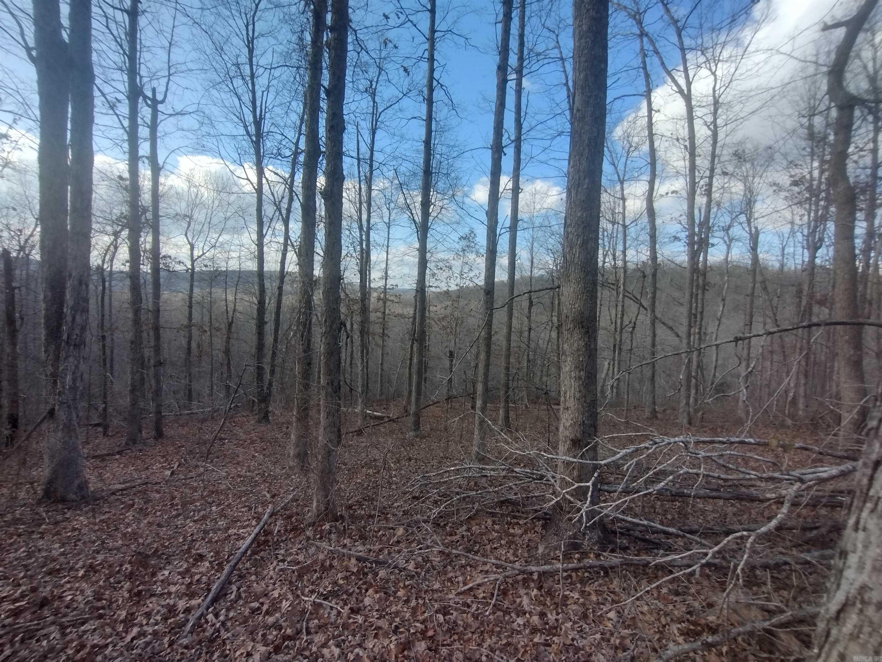 Metes & Bounds - Land