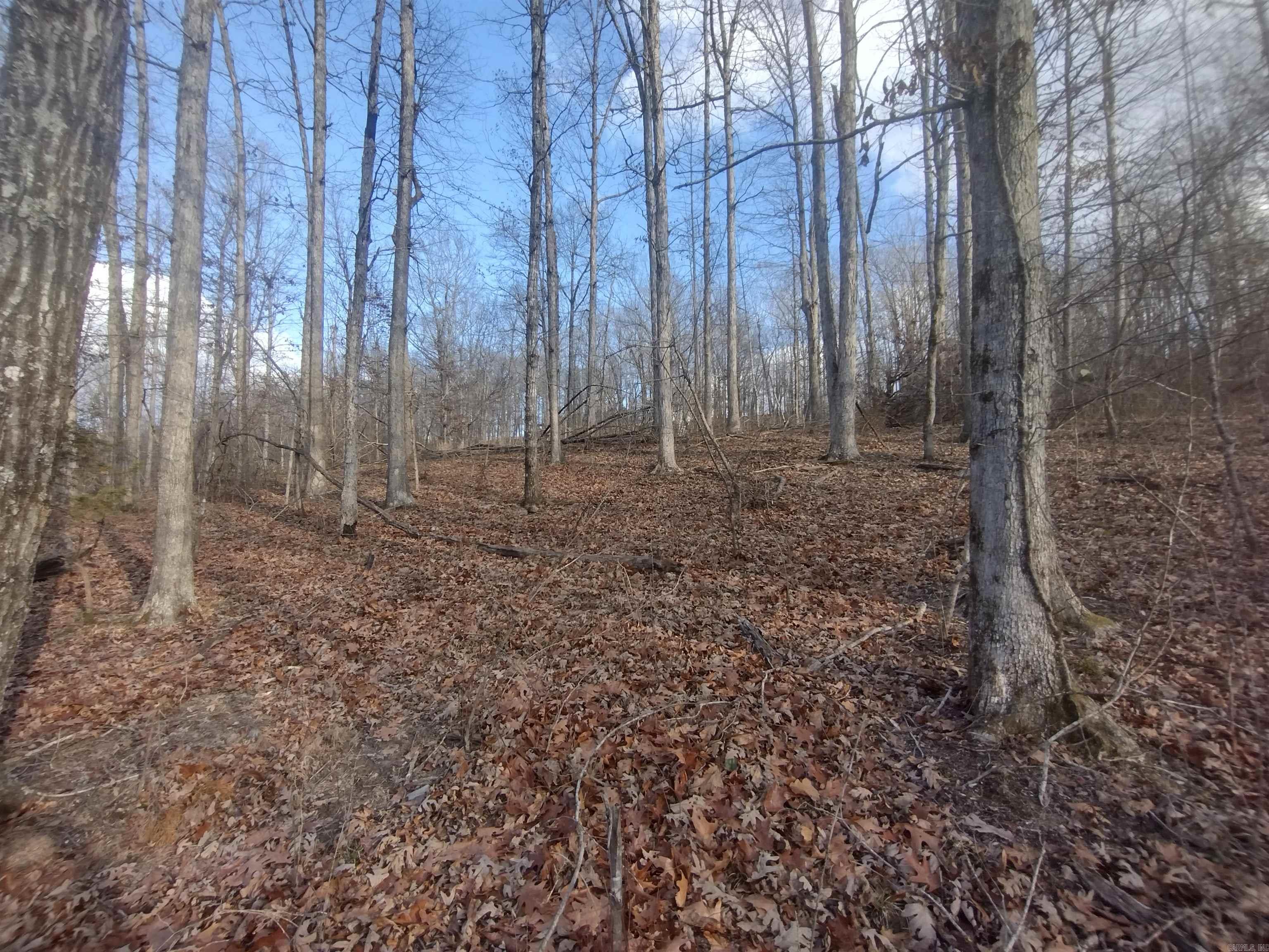 Metes & Bounds - Land