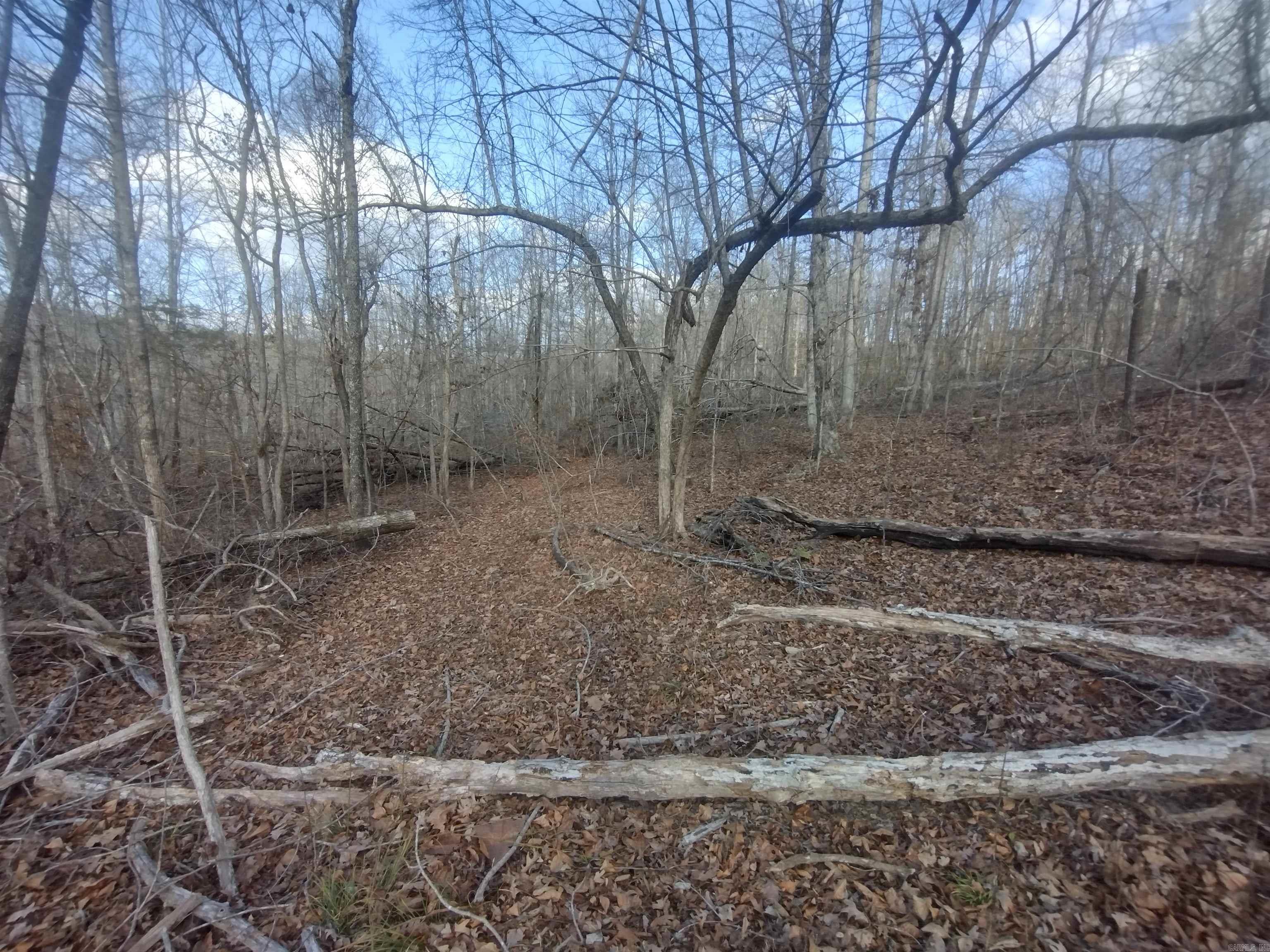 Metes & Bounds - Land