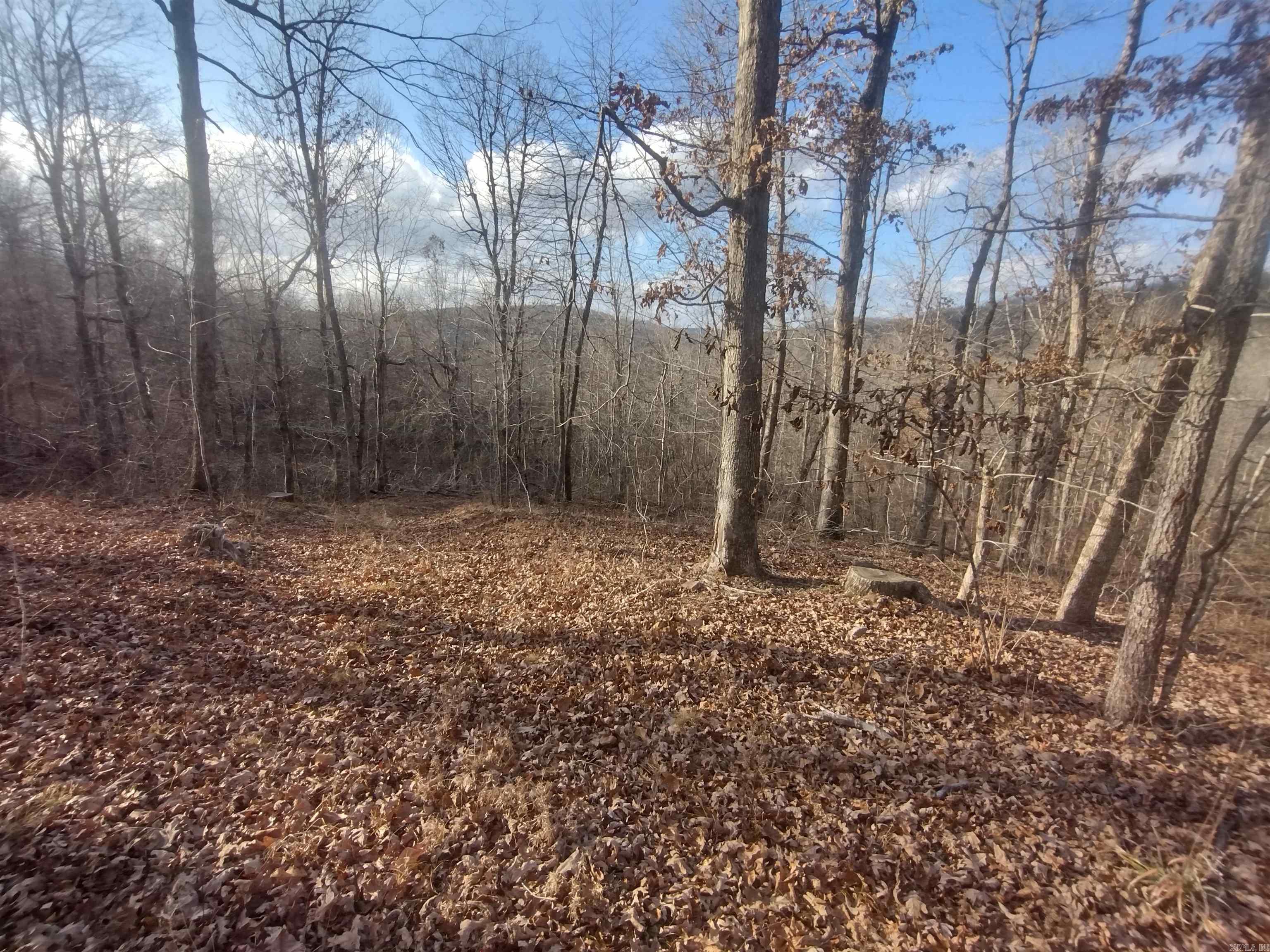 Metes & Bounds - Land