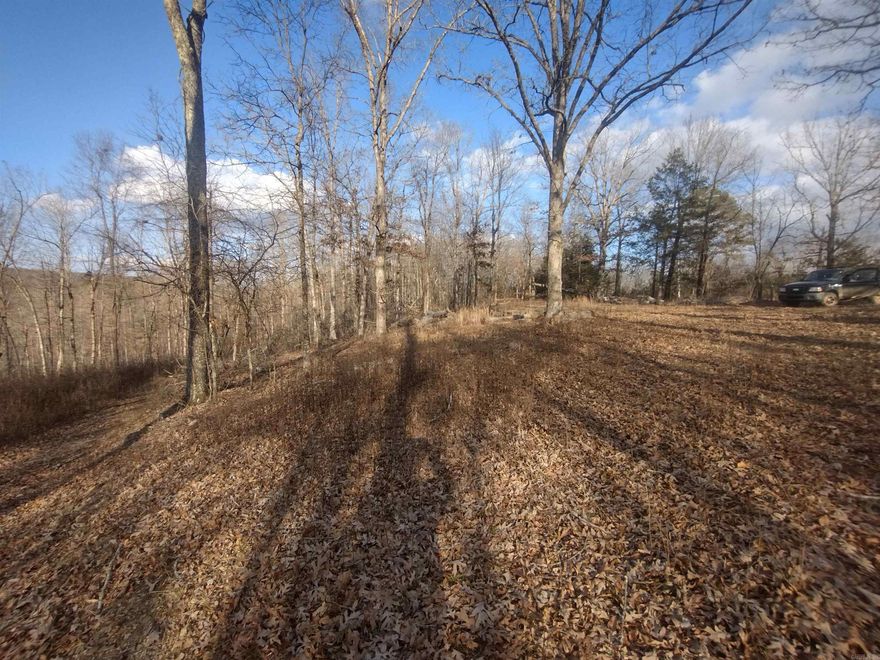 Take a look at this incredible property just outside Mountain View AR. Great building sights high and a little lower for more privacy but both have incredible views property has fire lane around exterior just off paved highway lots of wildlife whether you're to looking for a place to build your forever home of a getaway cabin to relax this is excellent property power and water at front of property.