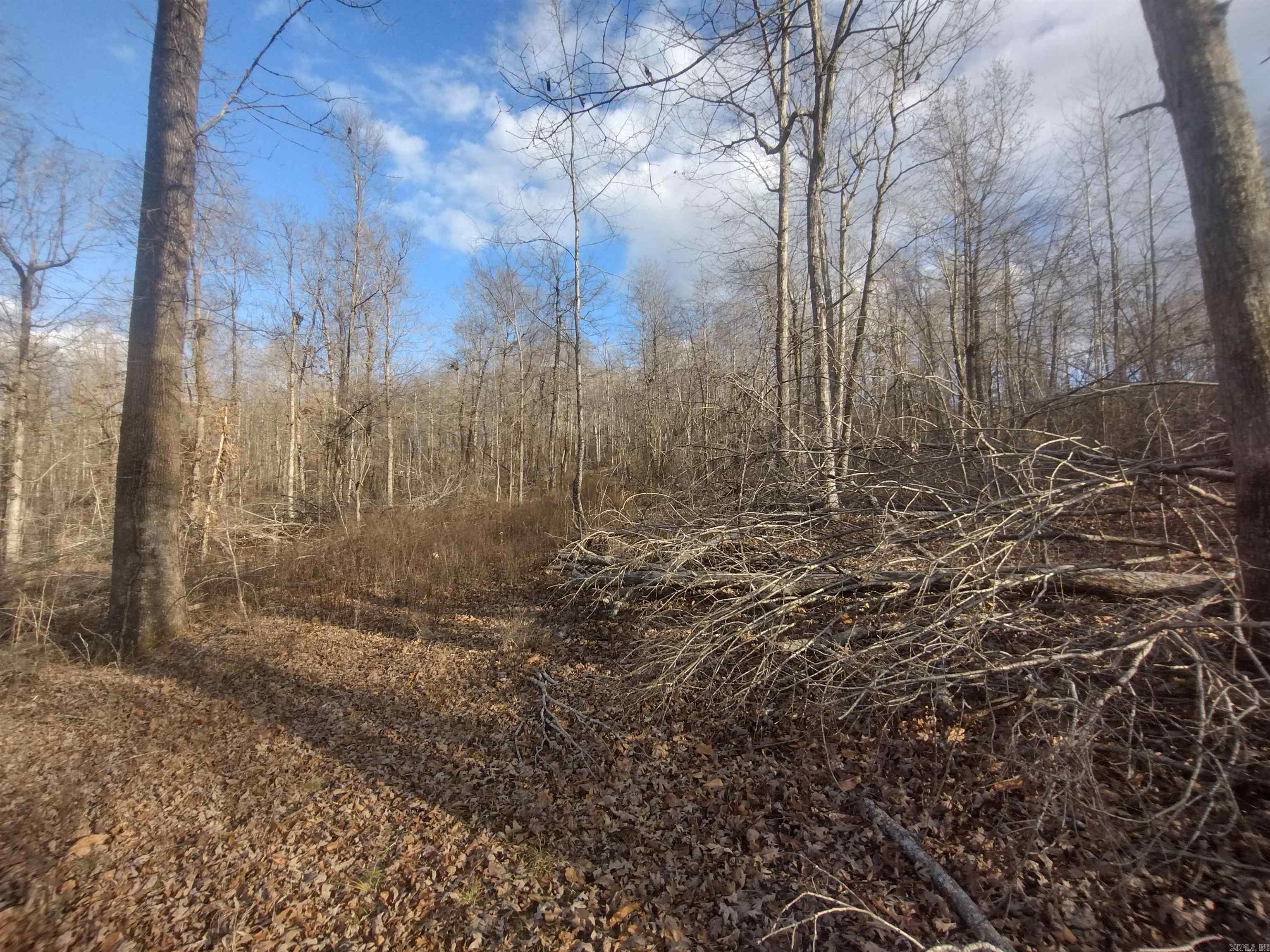 Metes & Bounds - Land