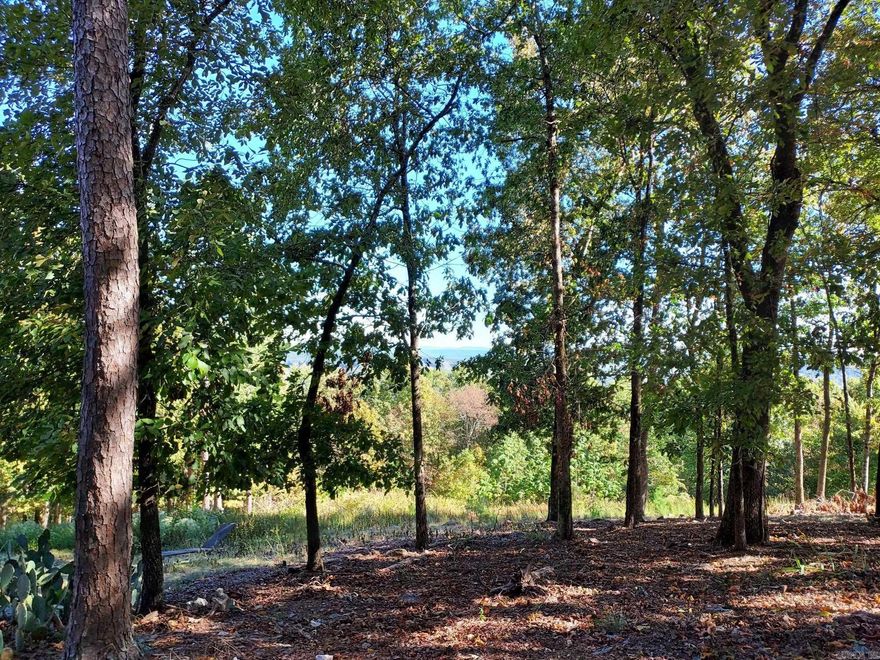 Join the Mountain People of Mesero Way. One of the highest points in Hot Springs Village. You have vista views from either side of the street in many cases. This lot looks to the Ouachita Mountain direction. Beautiful homes throughout the neighborhood. Hot Springs Village Property Owner Association has a new member buy-in fee of $250.00 collected at closing.