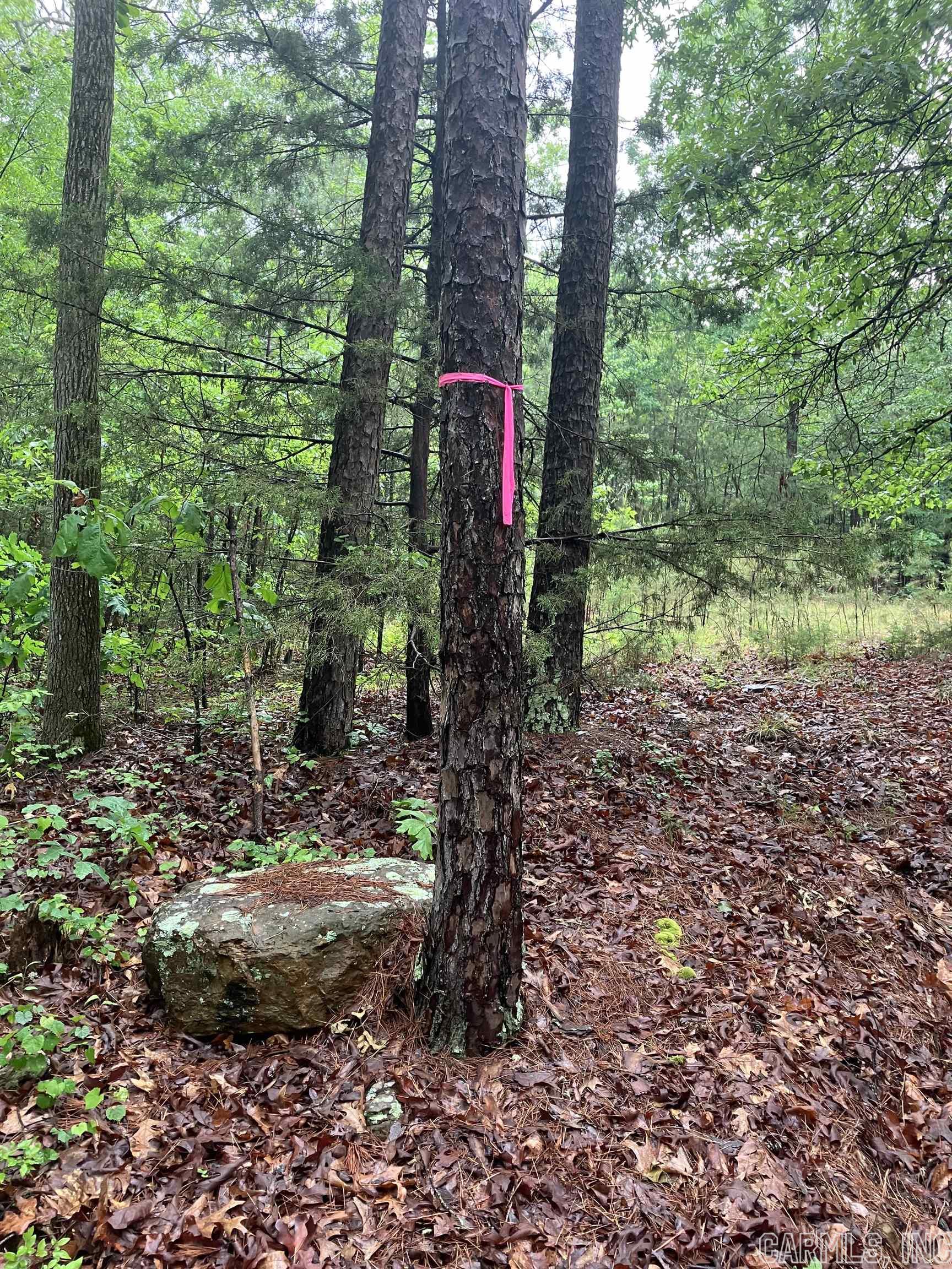 Twin Cove Estates - Land