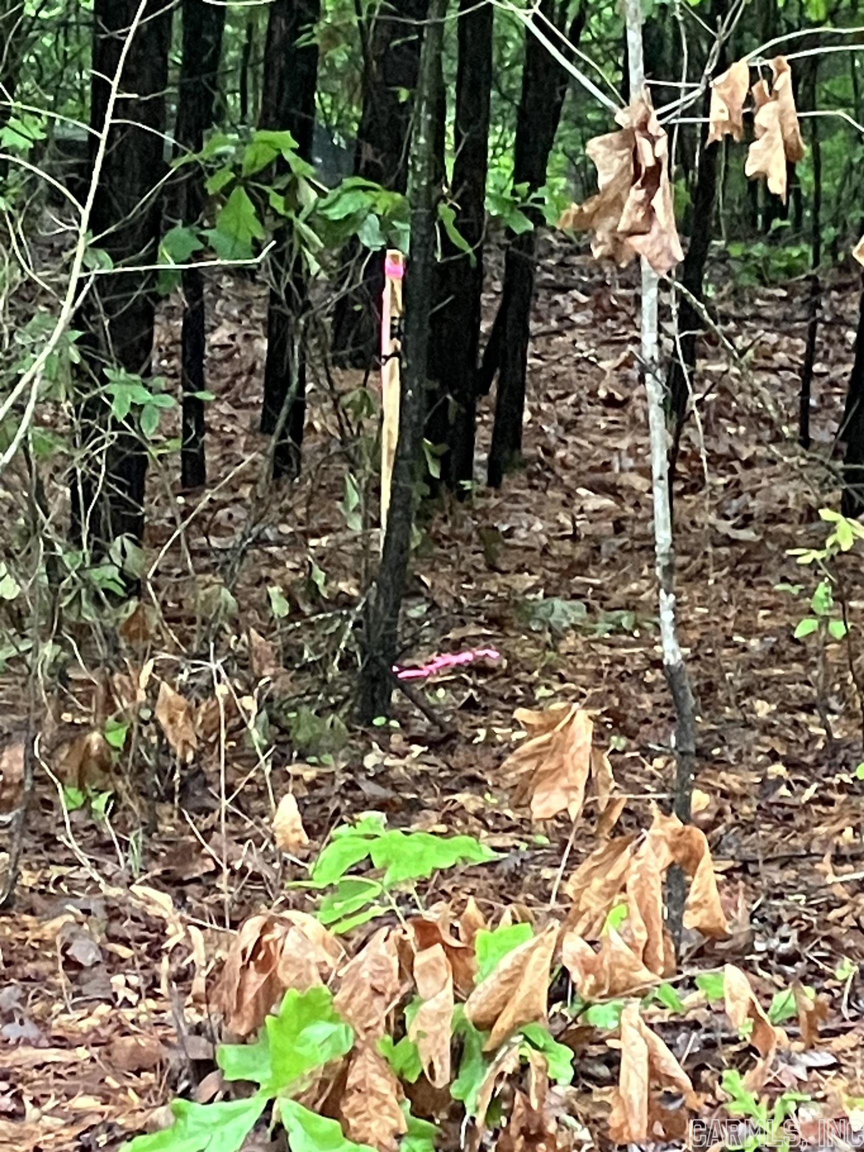 Twin Cove Estates - Land