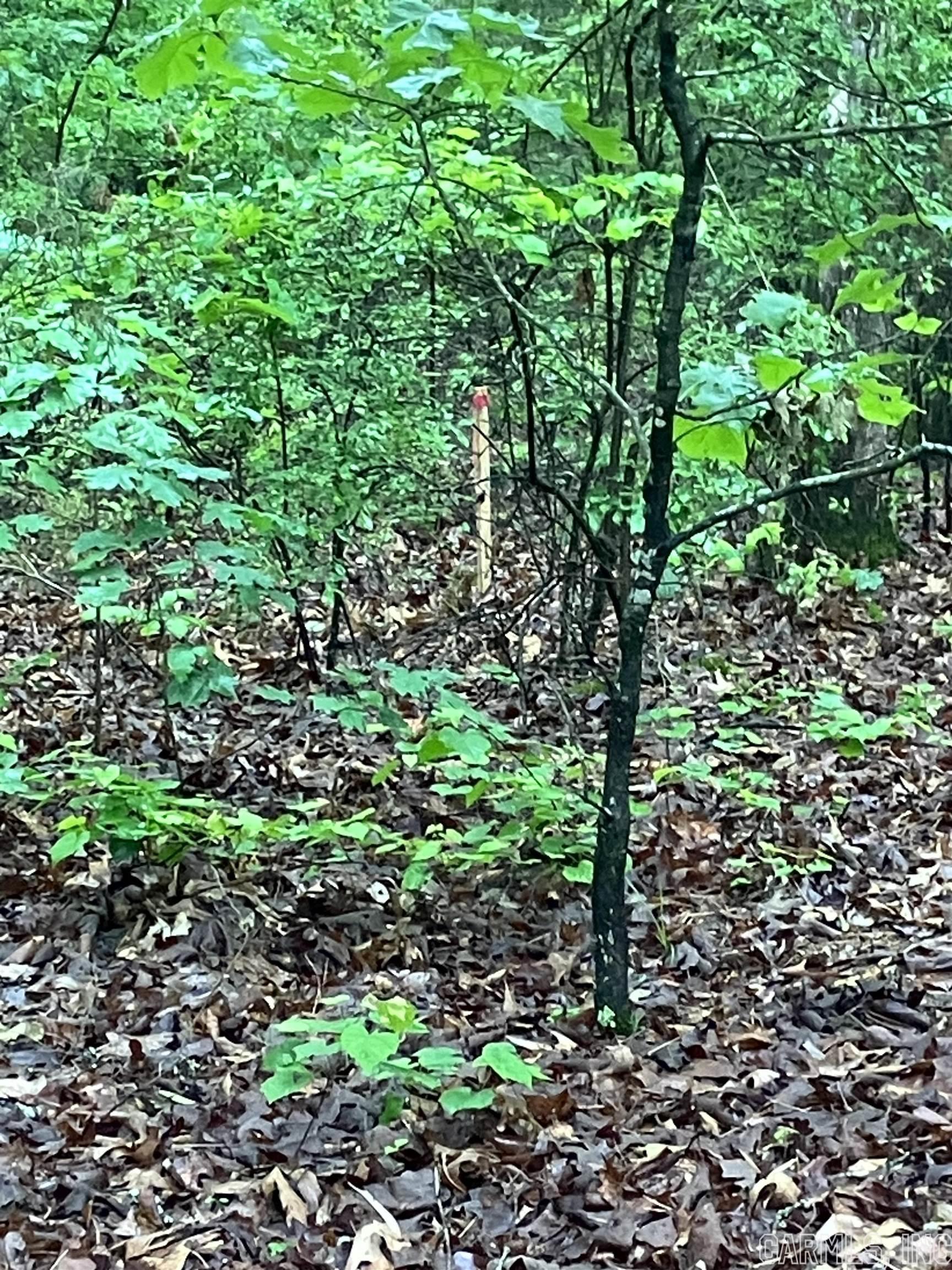 Twin Cove Estates - Land