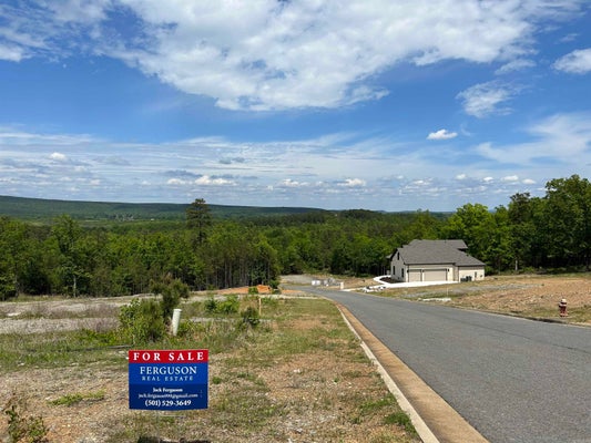 LOT 321 WATERVIEW MEADOWS LANE, ROLAND, AR 72135 - Image 6b9c8e71275b47ca3f17a4e9af1c6edb/4151784142