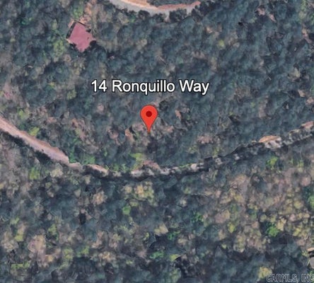 14 RONQUILLO WAY, HOT SPRINGS VILLAGE, AR 71909 - Image 6b9f39bdea92ea12350b6cedfe76b5c3/3067192527