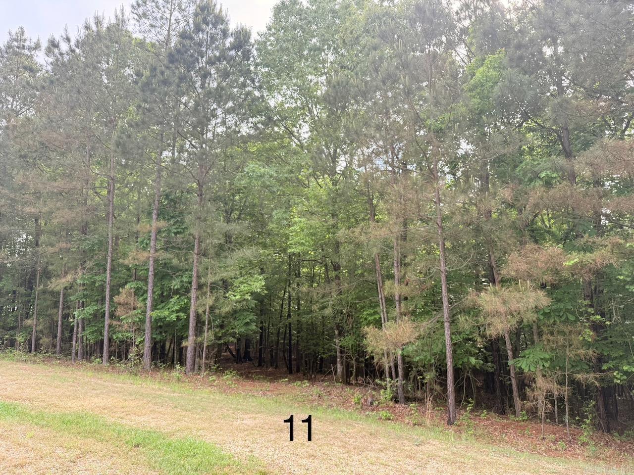 Discover the perfect spot to build your dream home in the desirable University Heights Subdivision! This 1.19-acre lot of phase 2 offers a serene, tree-lined setting in a quiet neighborhood, just minutes from the University of Arkansas at Monticello, local schools, hospitals, and shopping. With utilities readily available and a prime location, this lot is ideal for families, professionals, or investors. Priced to sell—don’t miss this opportunity to create your custom oasis in the heart of Monticello! Contact us today for details.