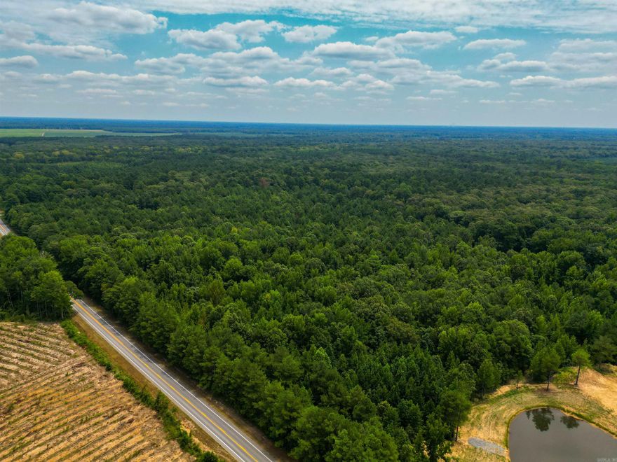 Whether you are looking for a homestead, managing timber, or just interested in recreational use, this will be a great property for you. Conveniently located five minutes from Monticello, a rare find in Drew County, this property features plenty of road frontage, mature timber, beautiful creeks, and wildlife of all kinds.
