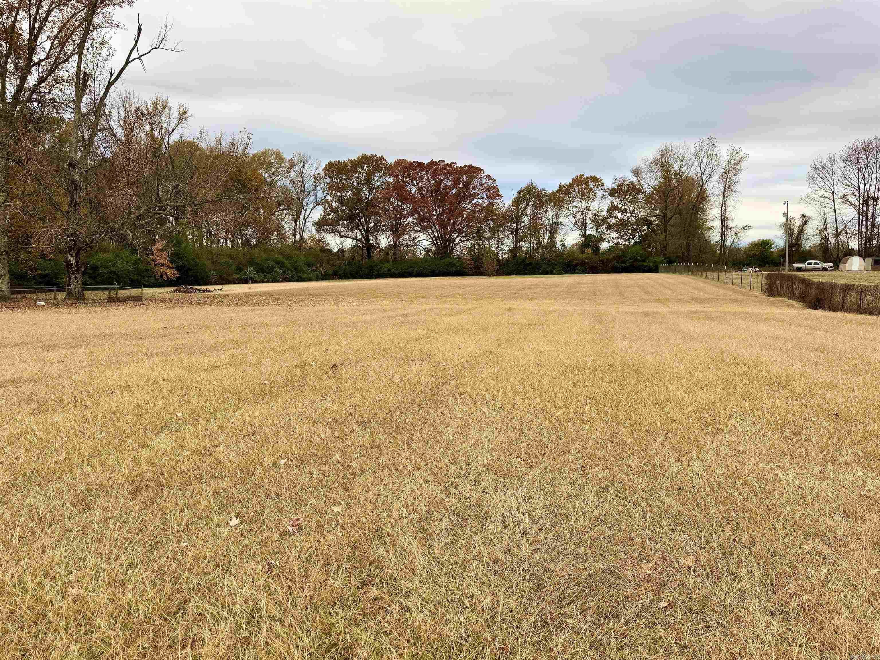 BIZZELL - Residential