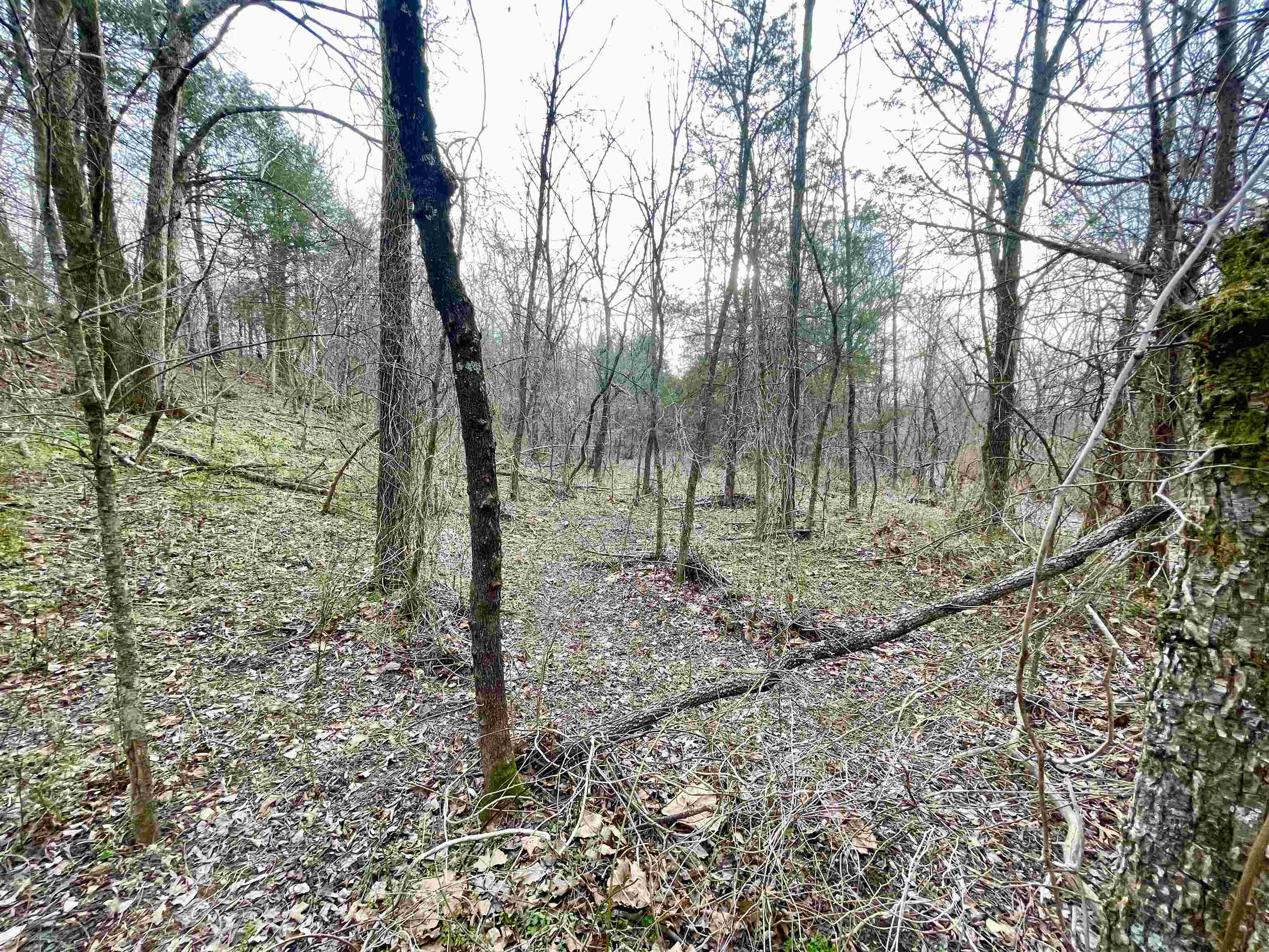 MOODY ESTATE - Residential