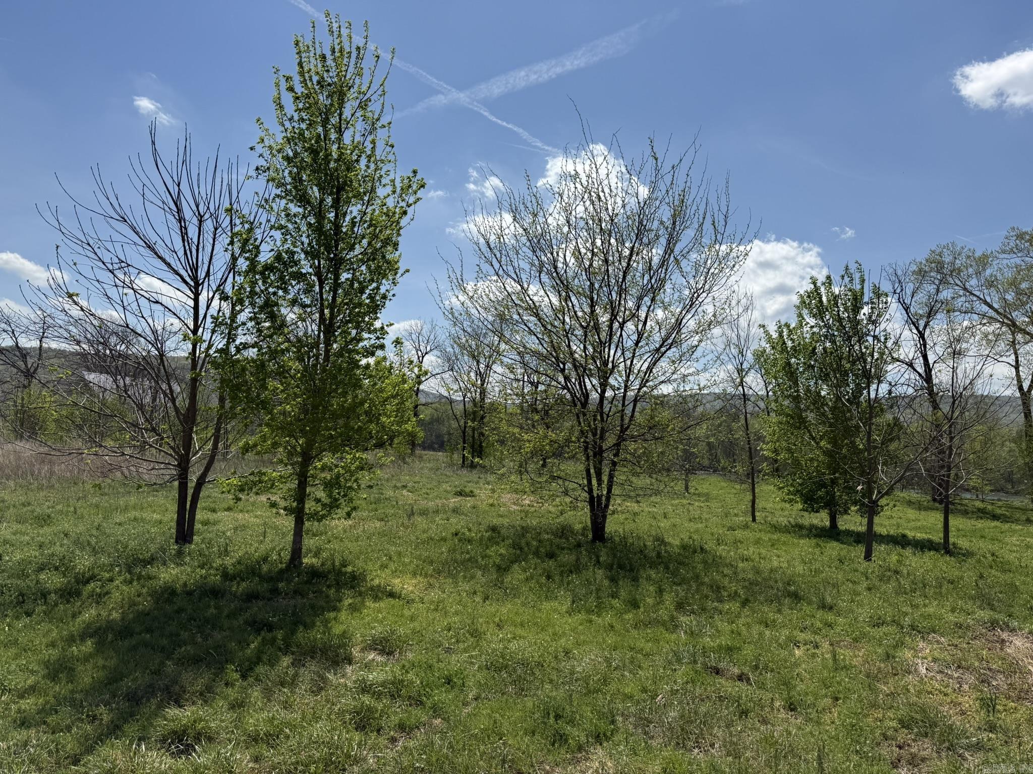 EAGLE BOTTOMS - Land