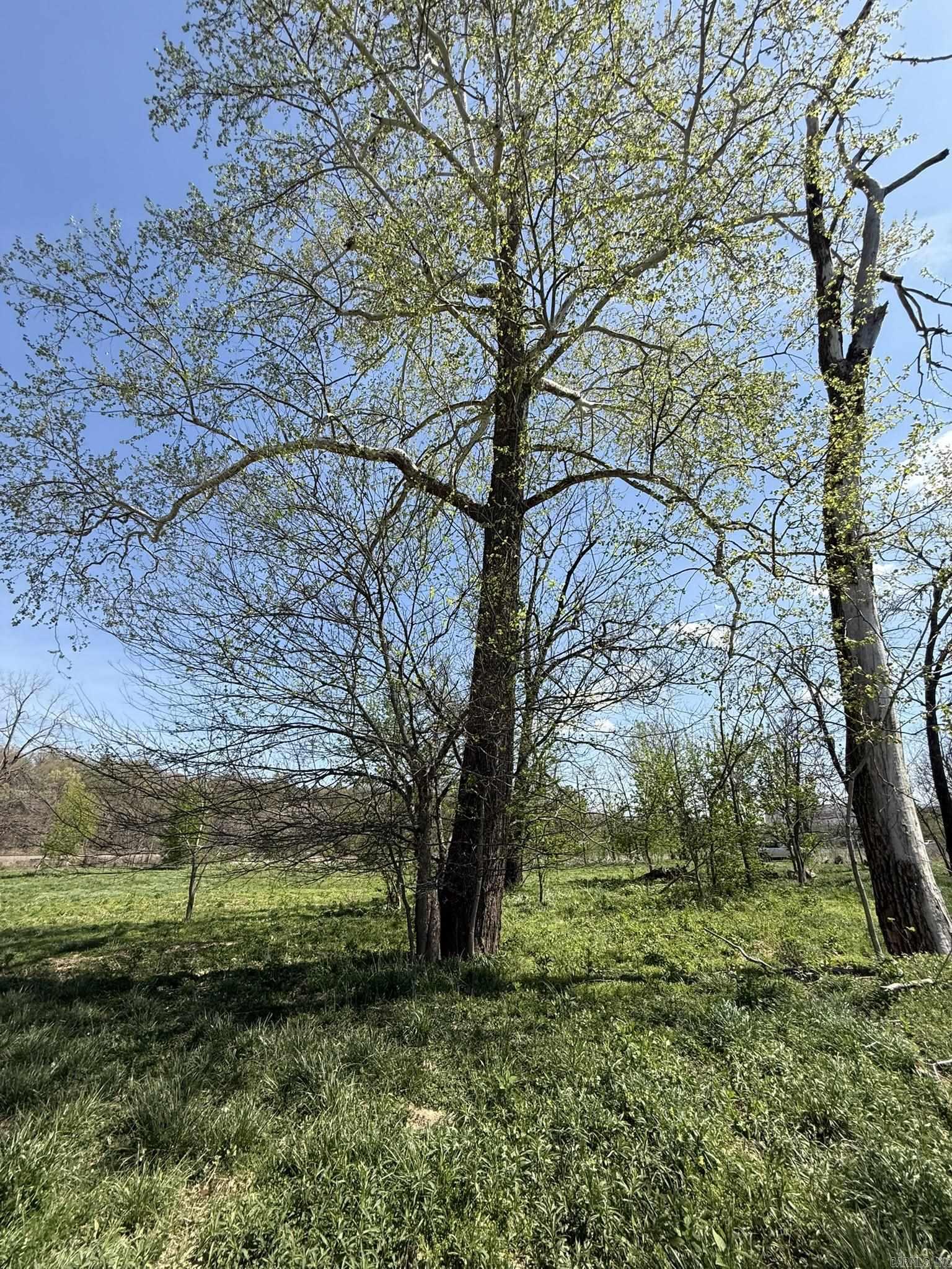 EAGLE BOTTOMS - Land