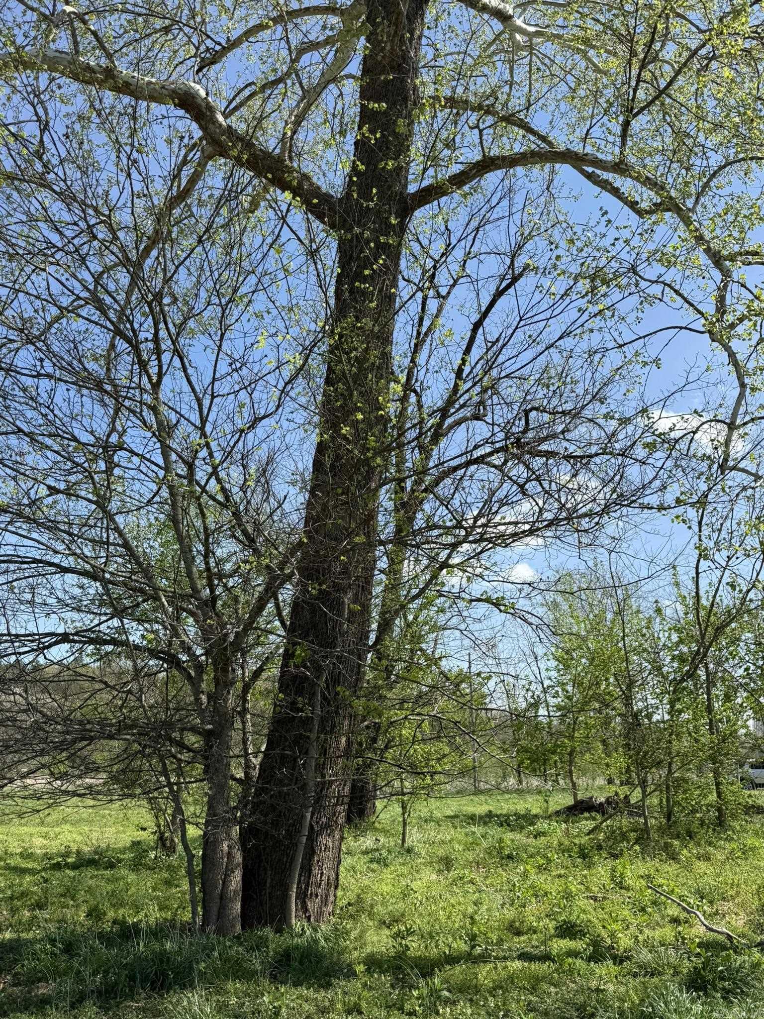 EAGLE BOTTOMS - Land