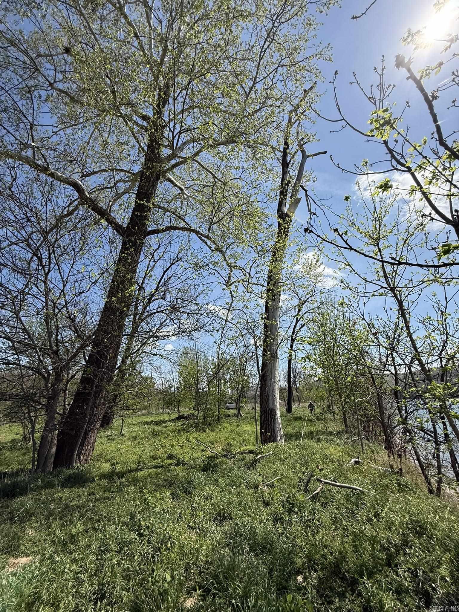 EAGLE BOTTOMS - Land